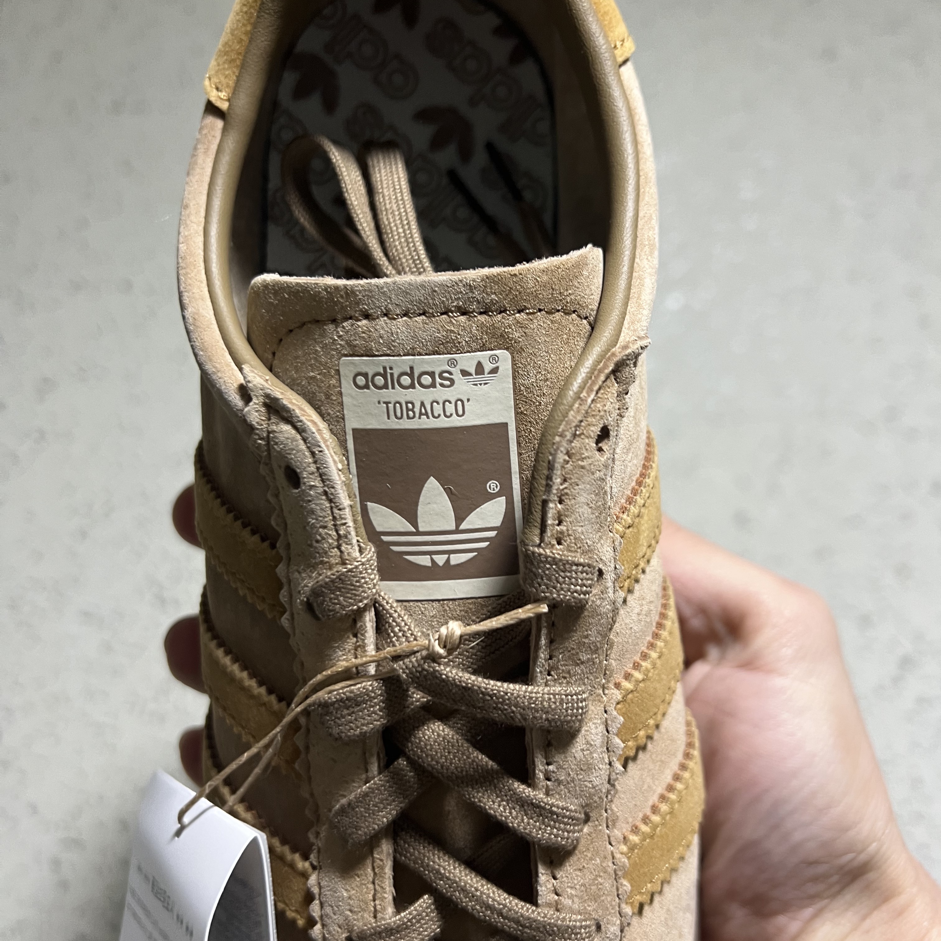 Adidas Tobacco Pantone Mesa 착용 스타일 - 3