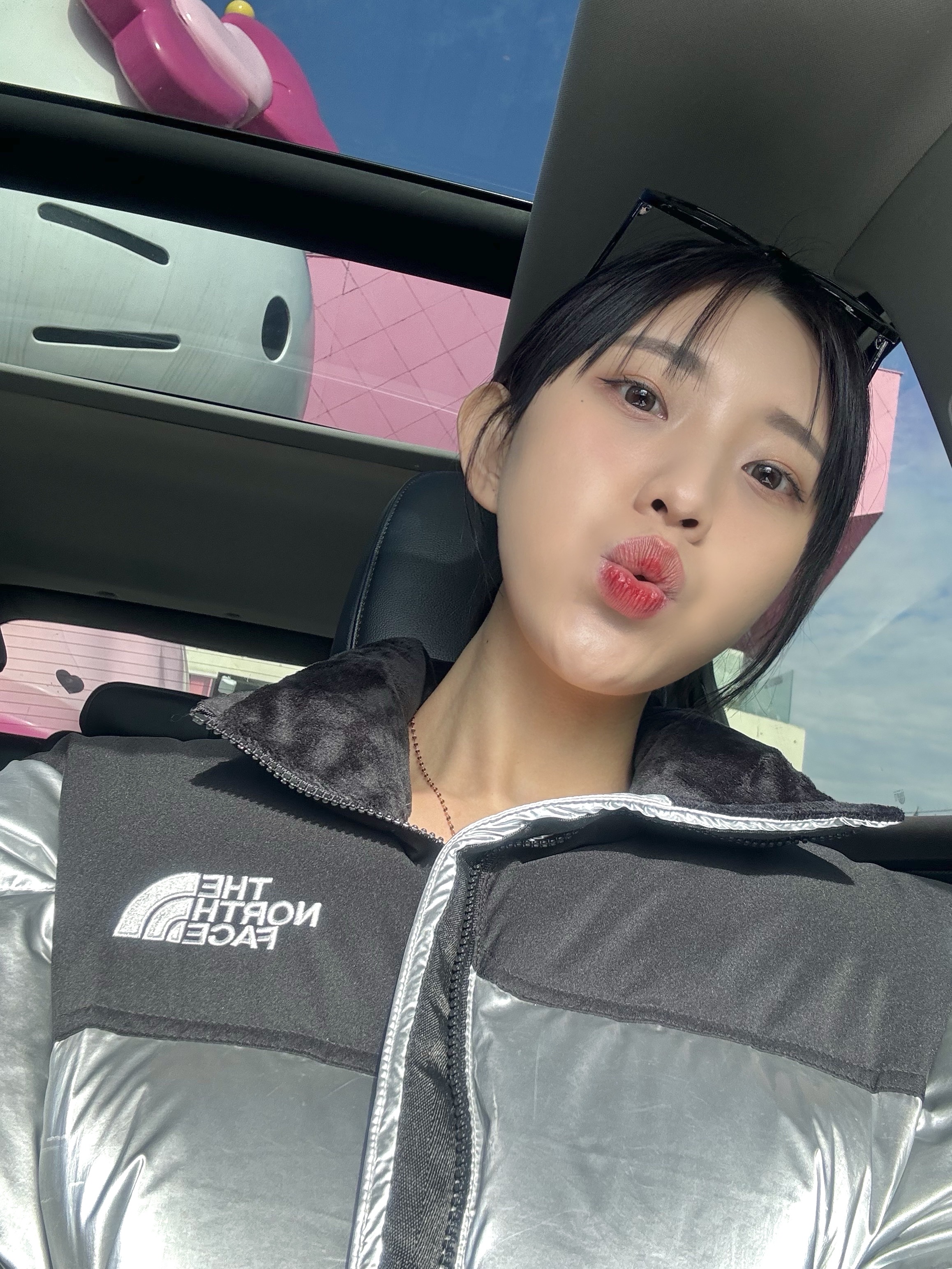 (W) The North Face White Label Novelty Nuptse Down Jacket Silver 착용 스타일 - 2