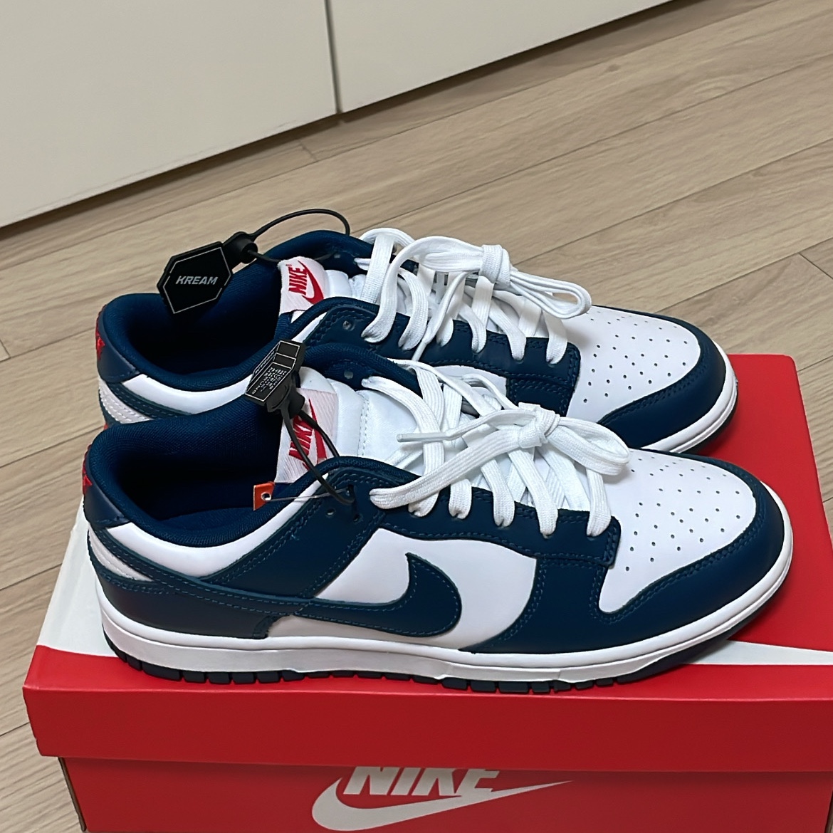 Nike Dunk Low Retro Valerian Blue 착용 스타일