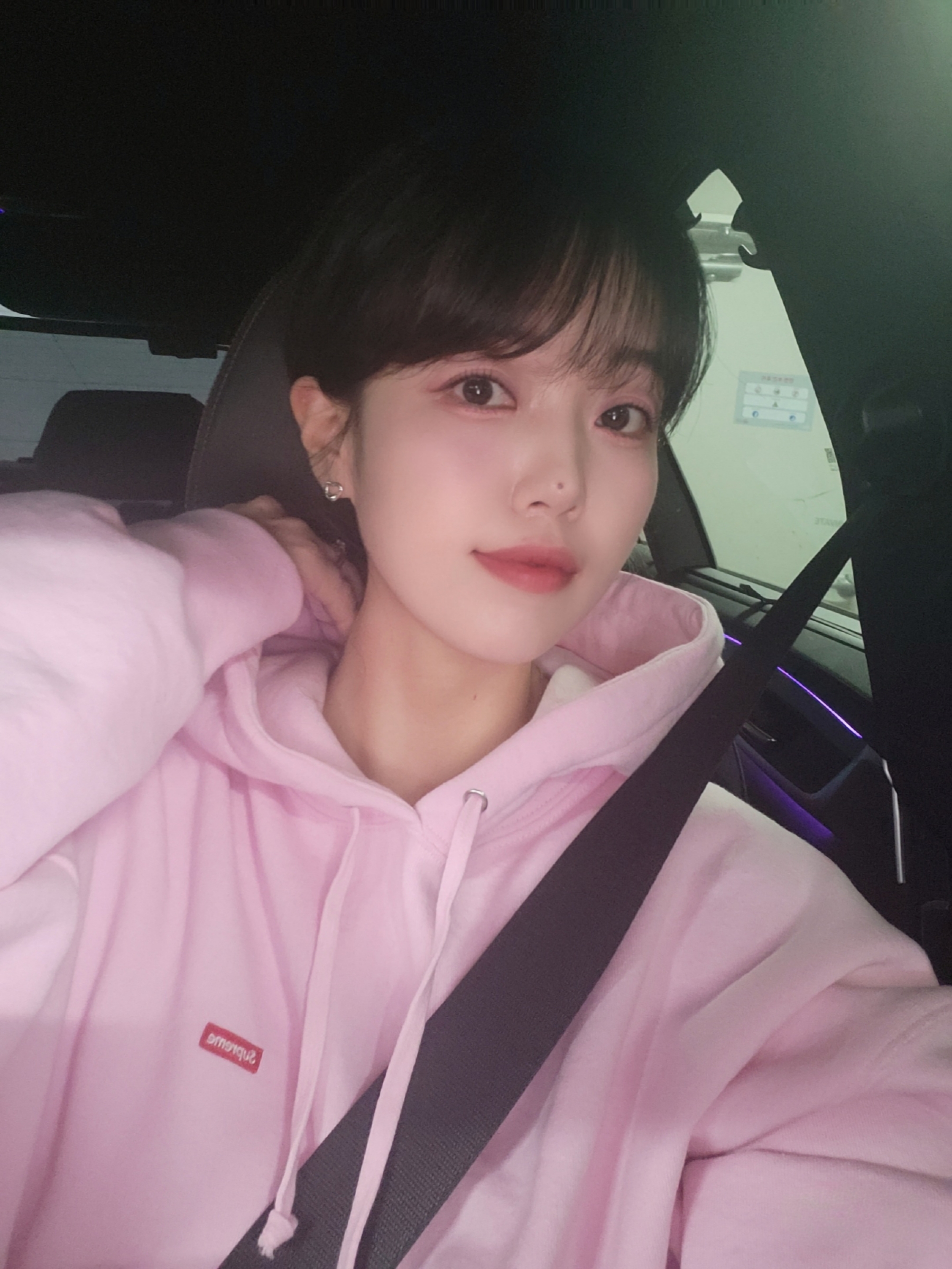 Supreme Small Box Hooded Sweatshirt Light Pink - 24SS 착용 스타일 - 1