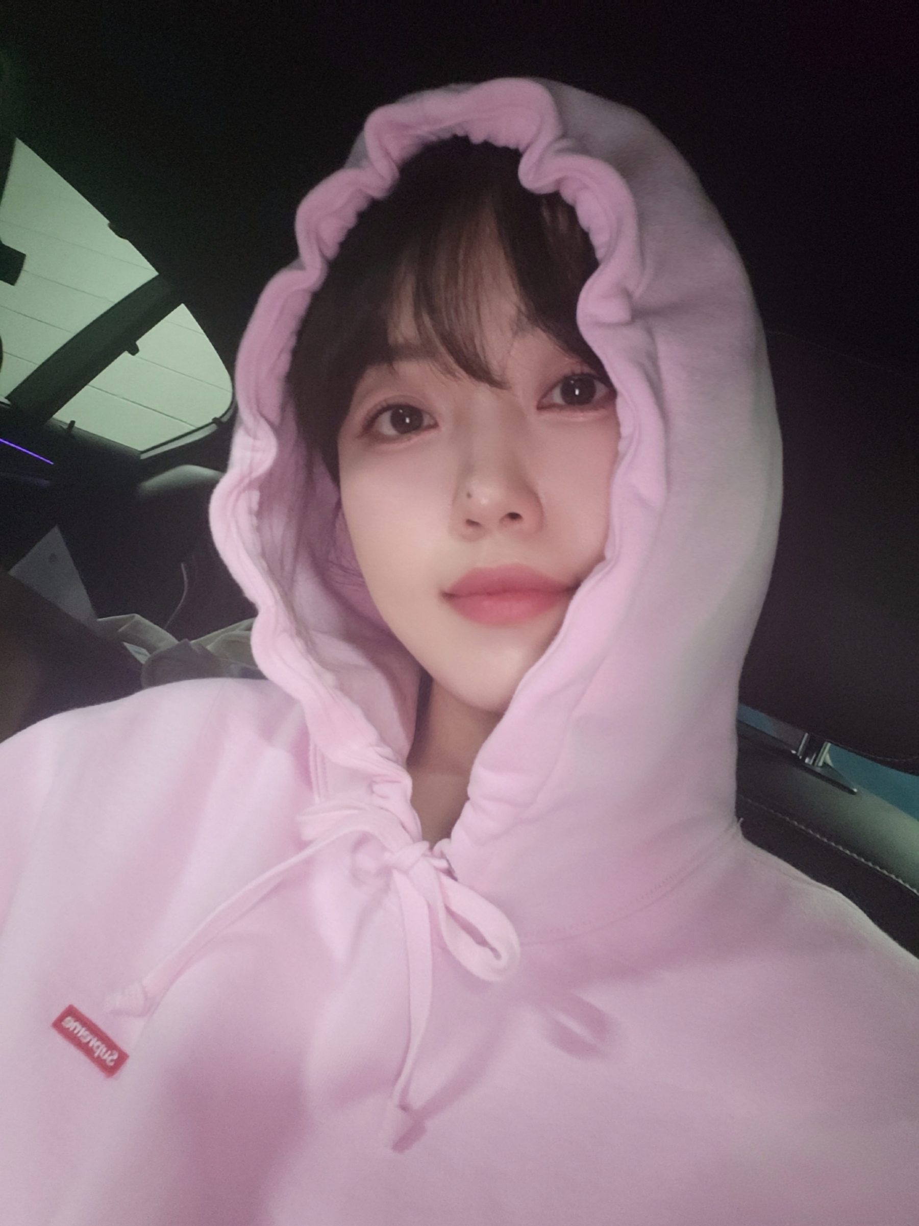 Supreme Small Box Hooded Sweatshirt Light Pink - 24SS 착용 스타일 - 2