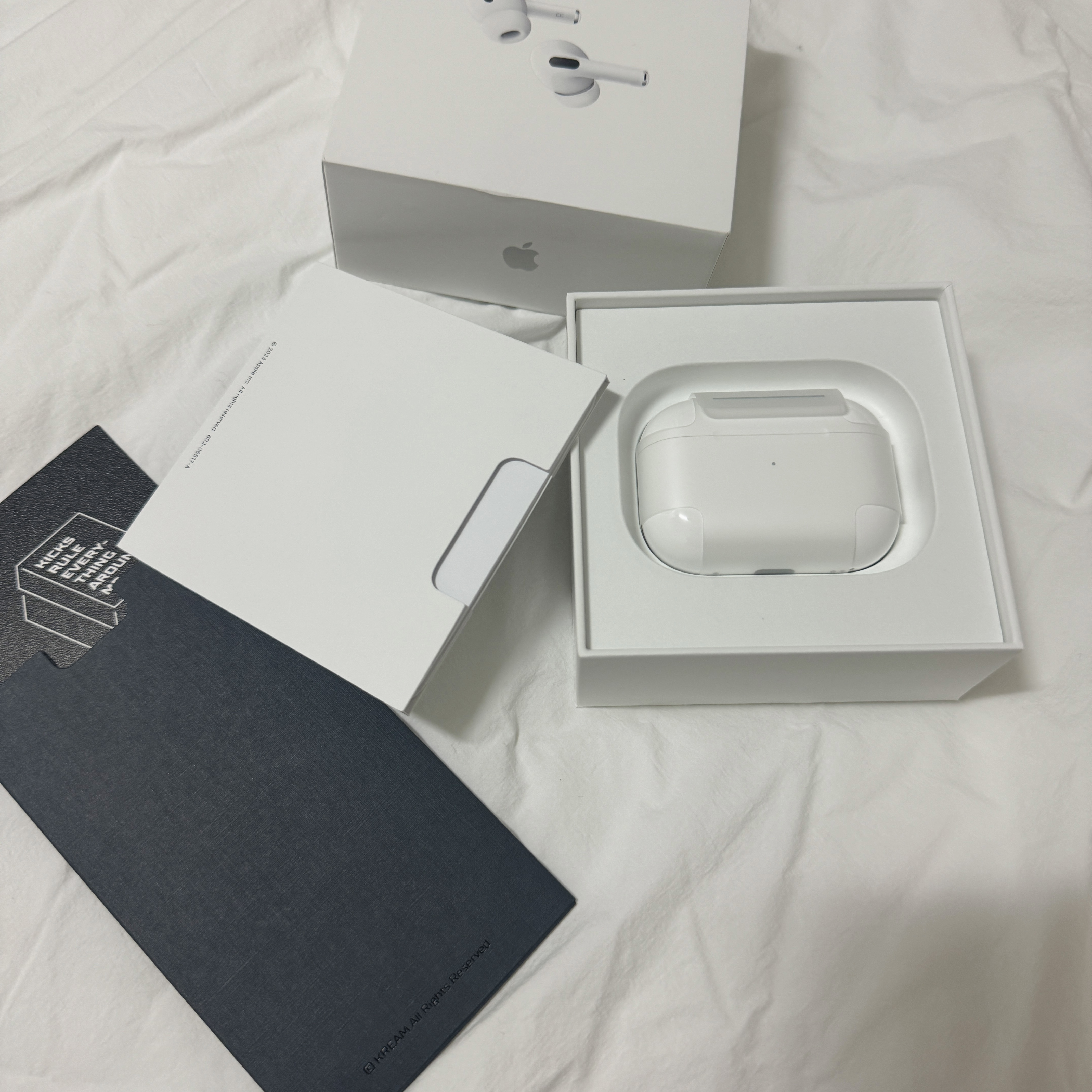 Apple Airpods Pro 2nd Gen with MagSafe Charging Case USB C (Korean Ver.) 착용 스타일