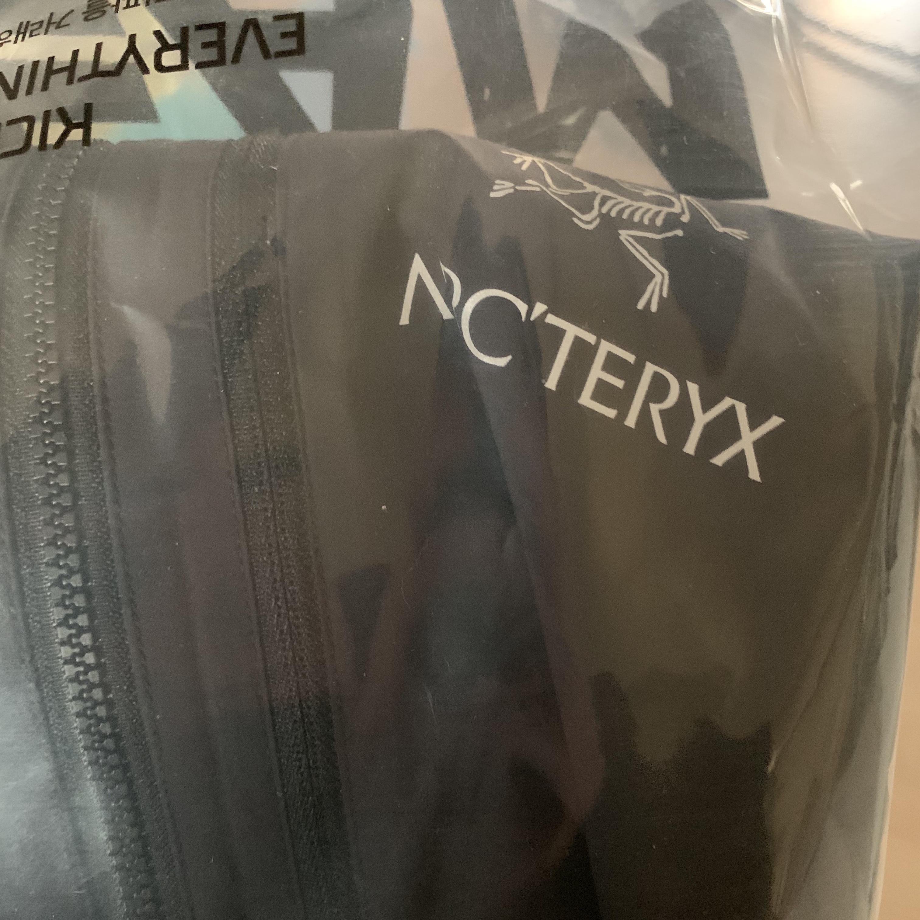 Arc'teryx Squamish Hoody Black 착용 스타일 - 2