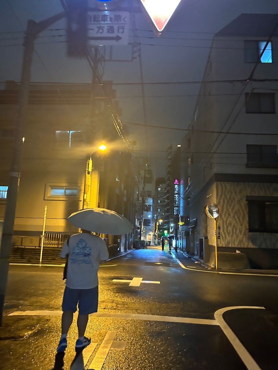 Stussy Melted T-Shirt White 착용 스타일