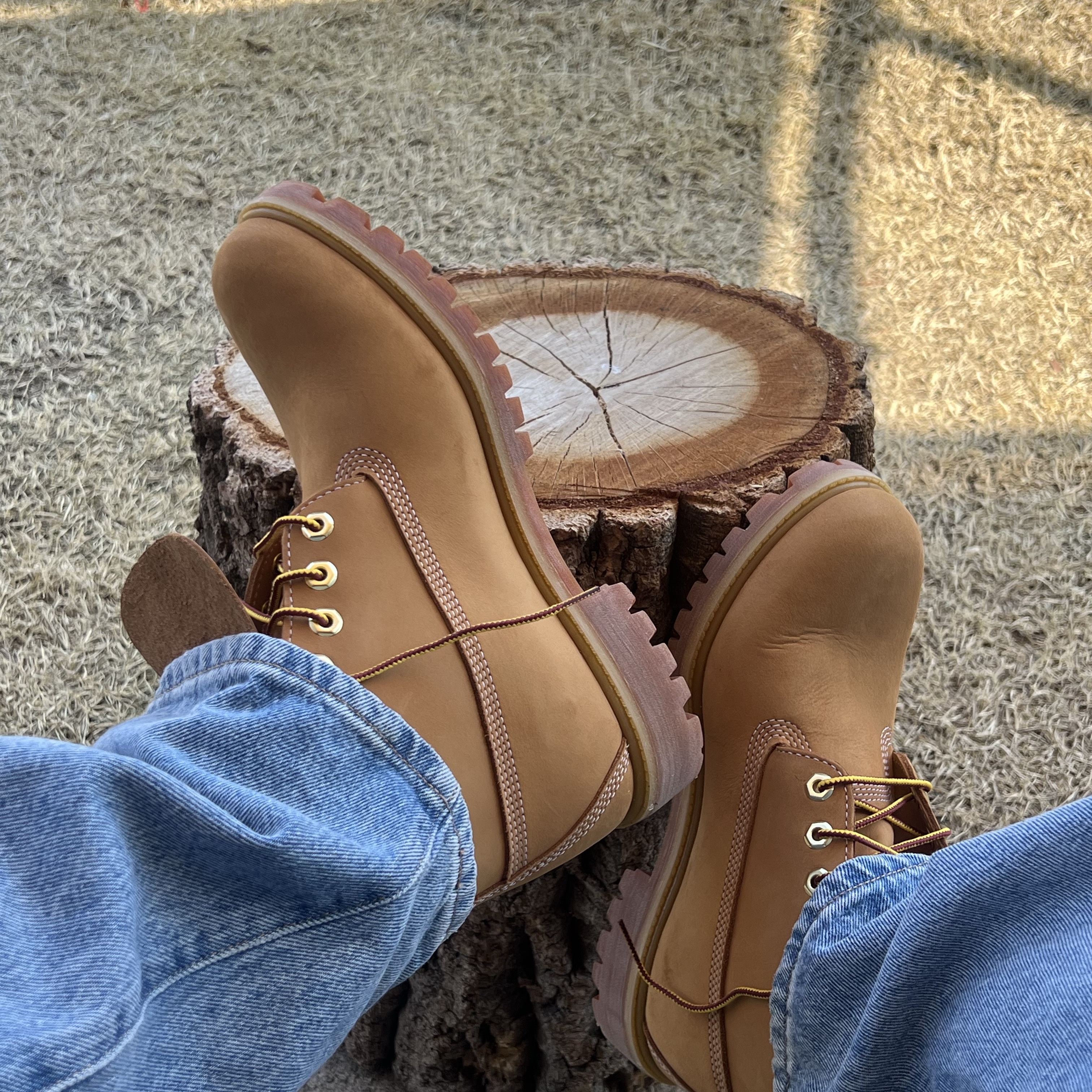 Timberland Premium 6 inch Waterproof Boot Wheat Nubuck - Wide 착용 스타일