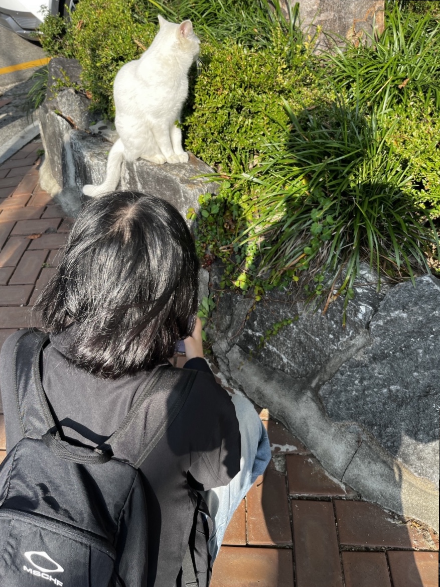 Mischief Rhombus Backpack Black 착용 스타일