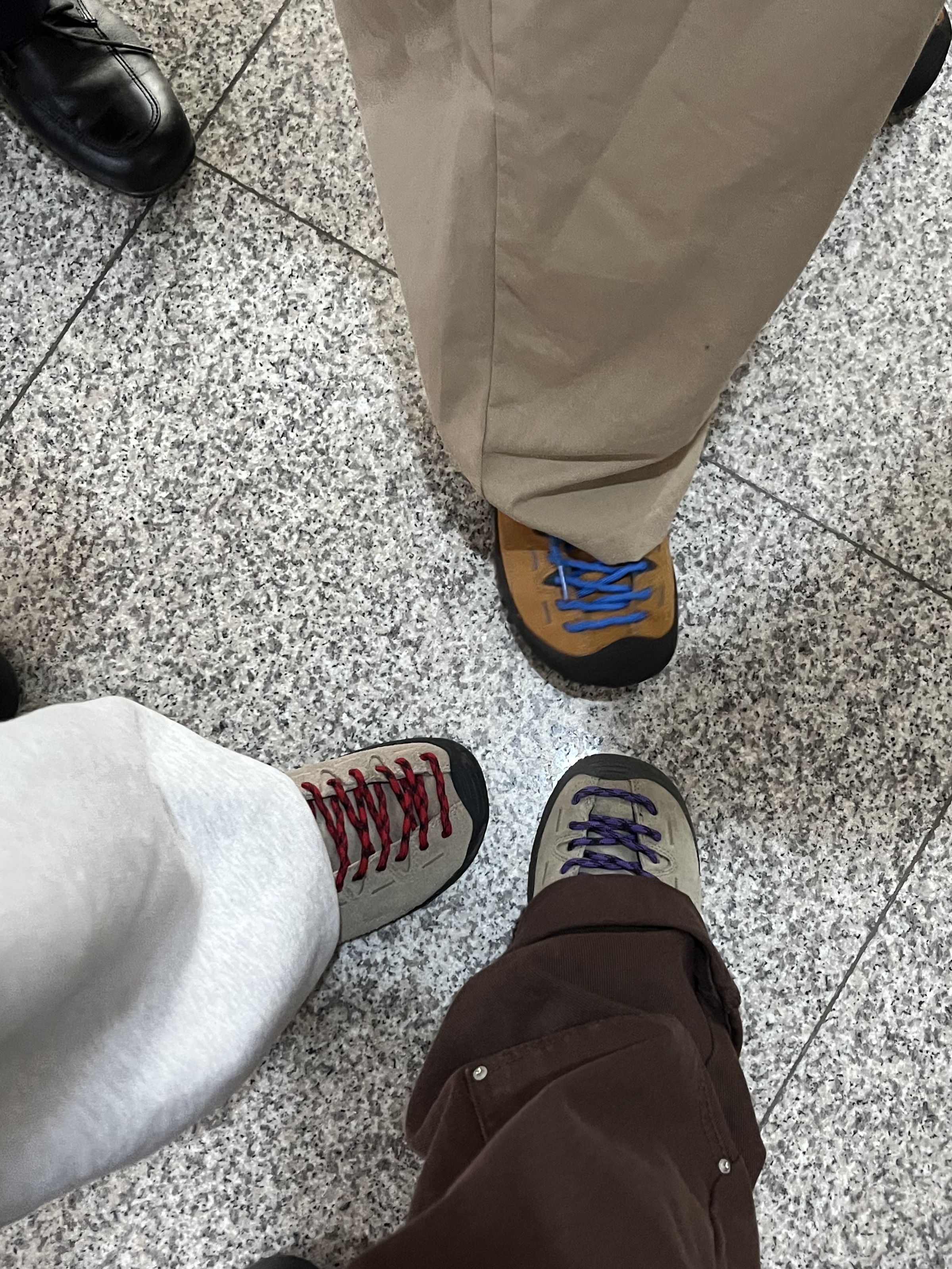 (W) Keen Jasper Suede Sneakers Silver Mink, (W) Keen Jasper Sneakers Brindle 착용 스타일