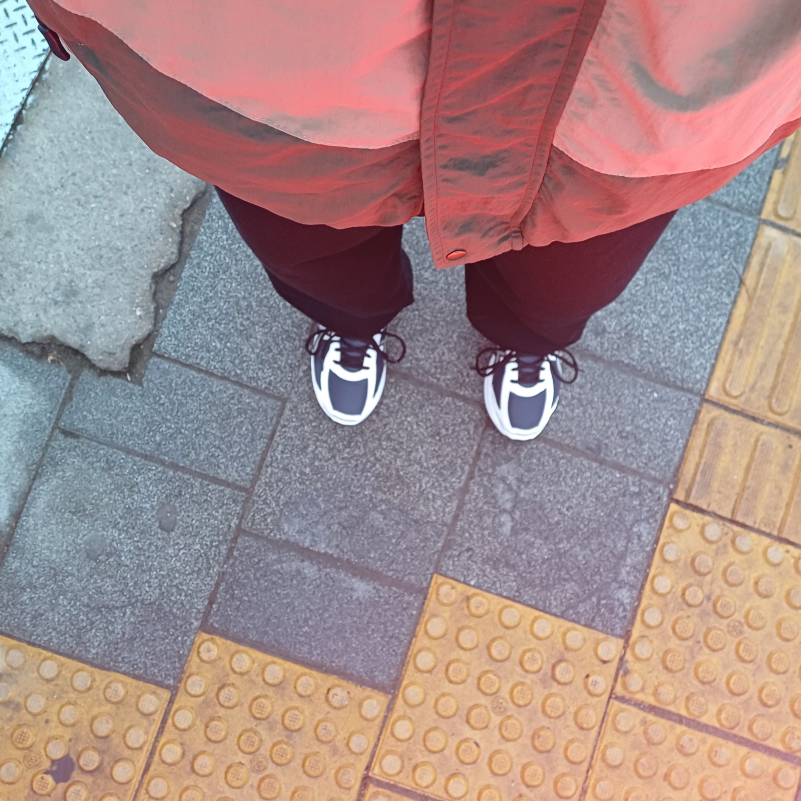 Asics Jog 100 S Navy Pure Silver - 2E Wide 착용 스타일