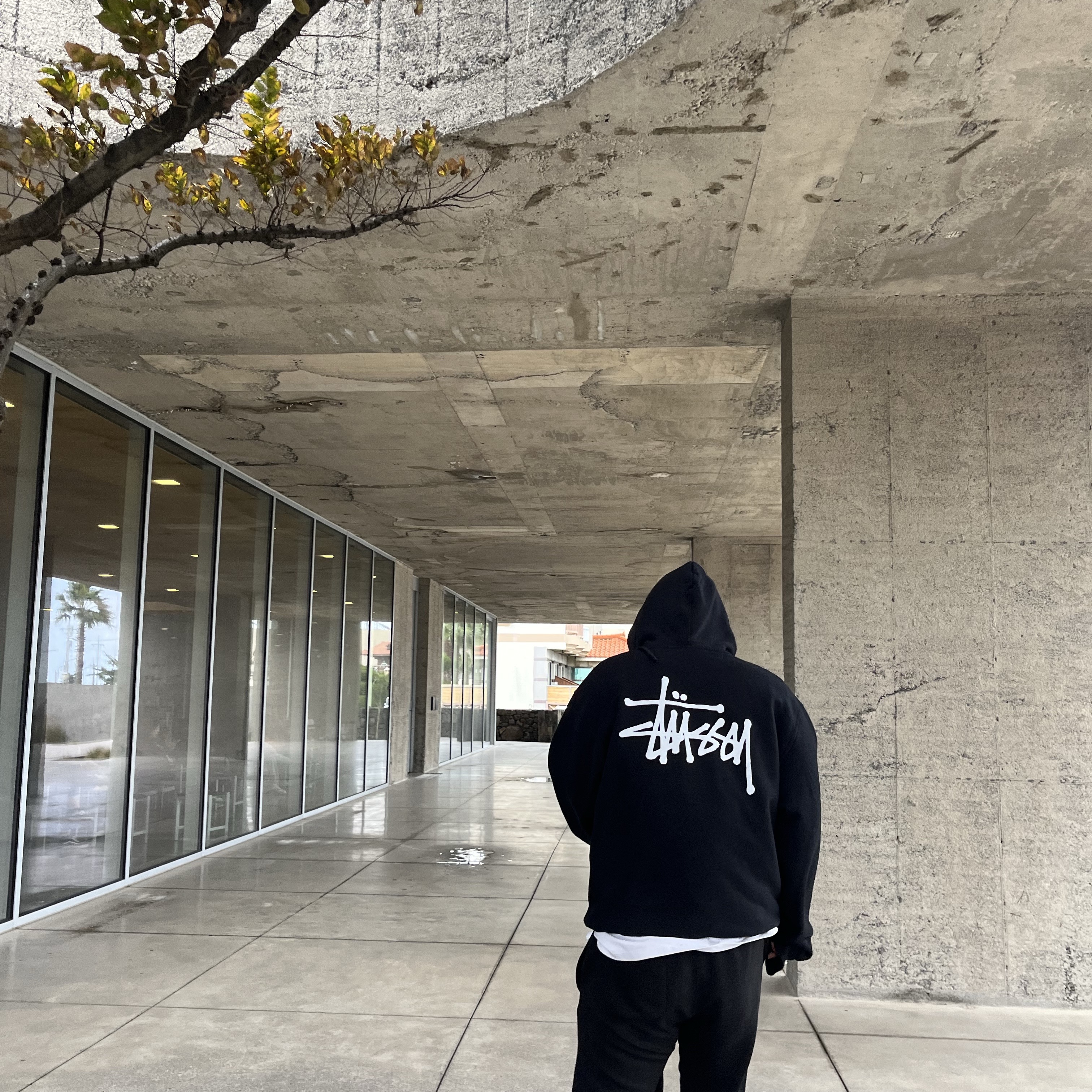 Stussy Basic Stussy Pigment Dyed Hoodie Black 착용 스타일 - 1