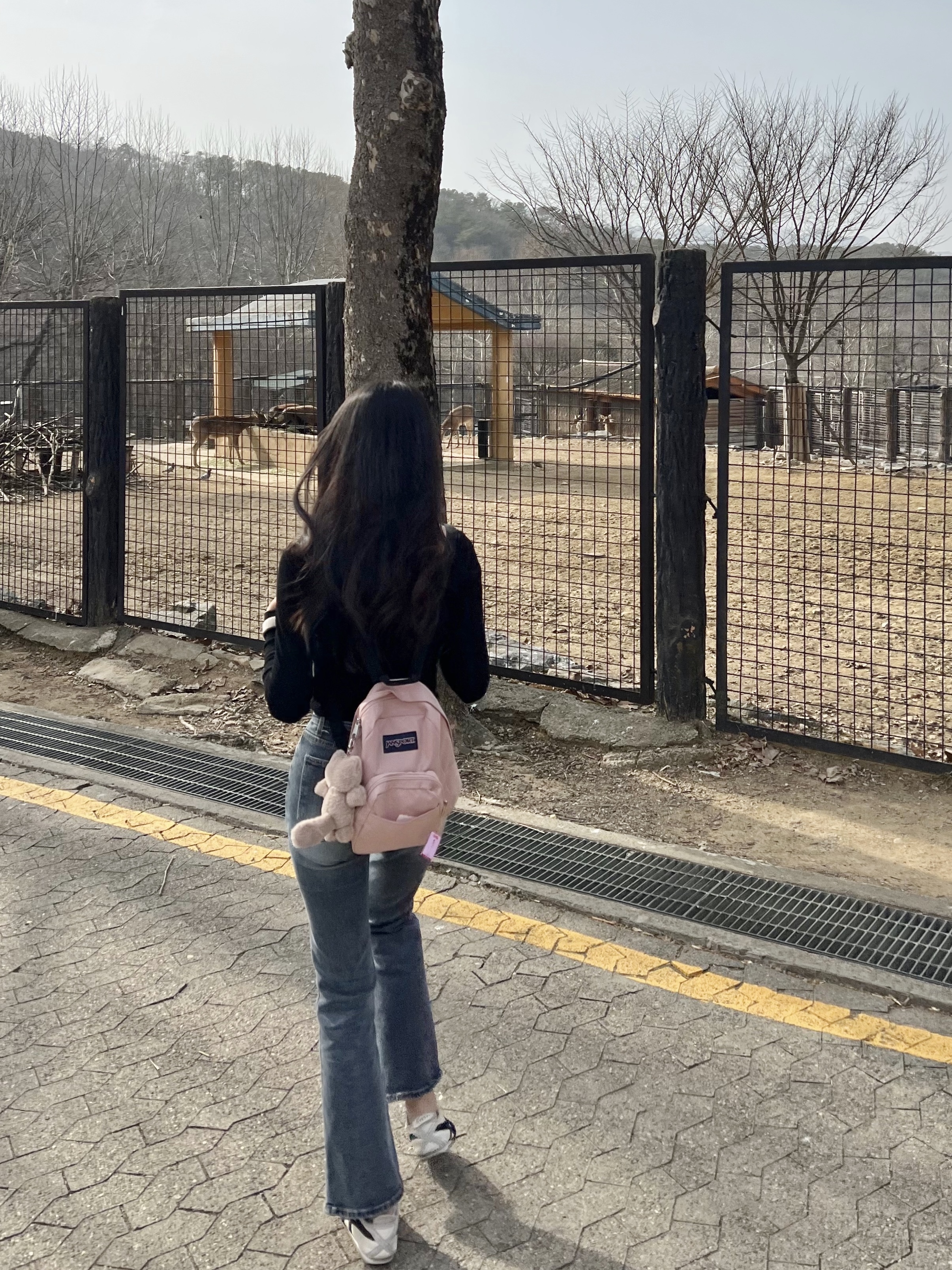 Jansport Half Pint Mini Backpack Misty Rose, Onitsuka Tiger Mexico 66 Vintage White Black 착용 스타일 - 1