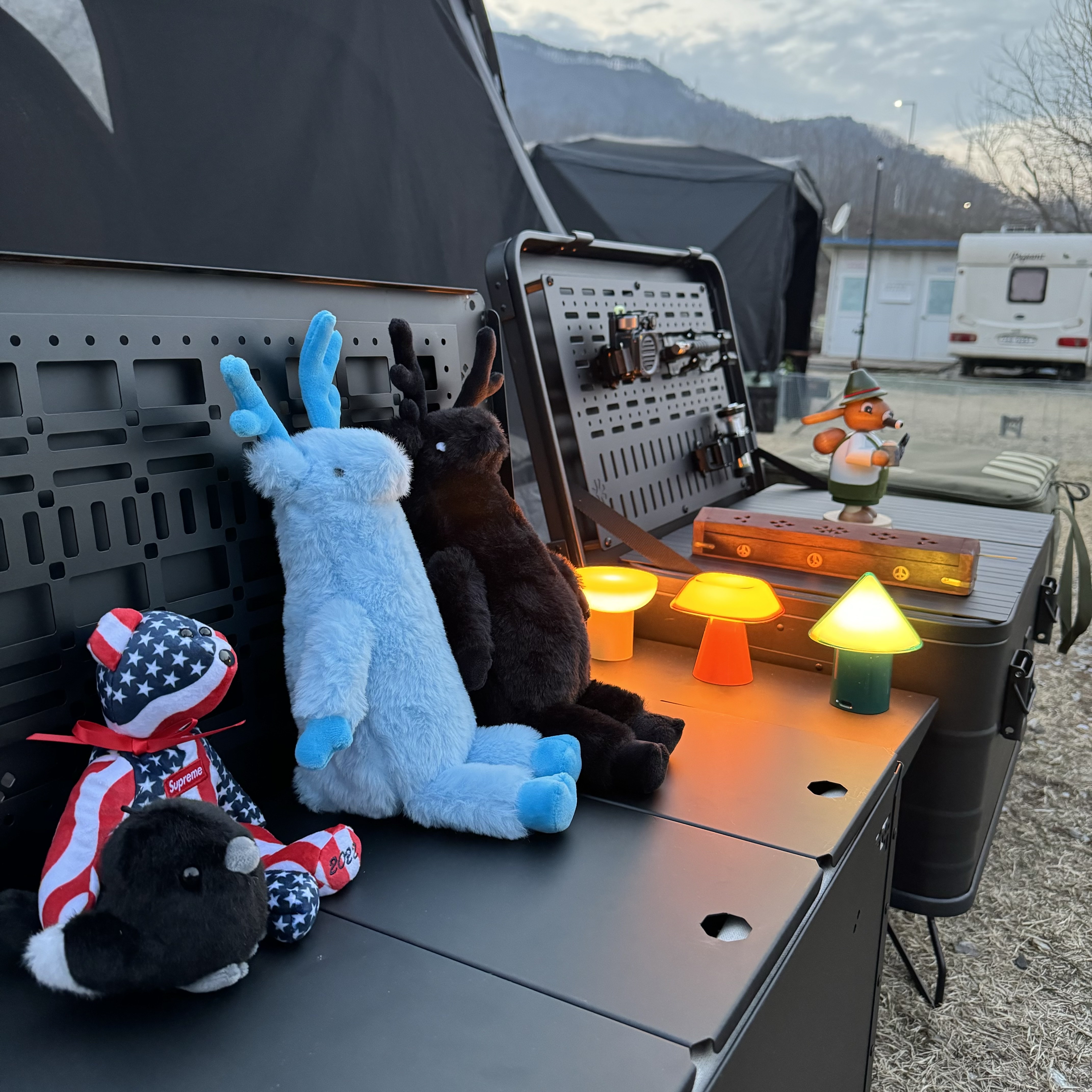 Helinox Catchy Keyring Black, Supreme Ty Beanie Baby Flag - 22FW 착용 스타일