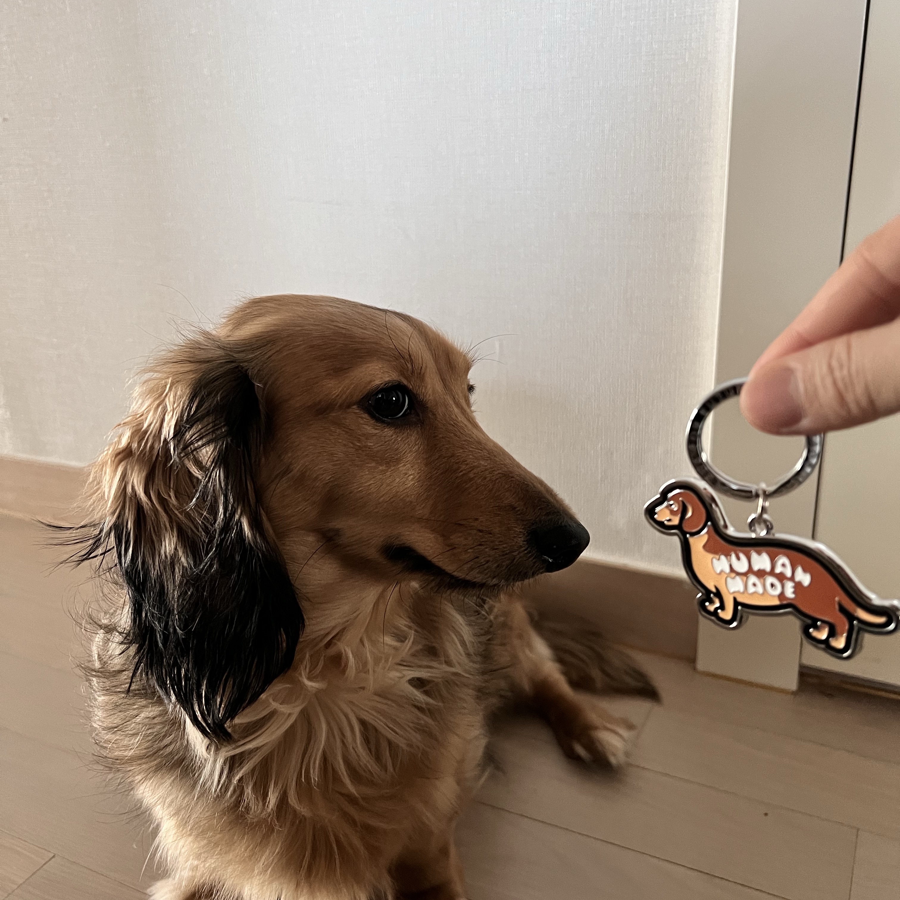 Human Made Dachs Keyring Brown 착용 스타일 - 3