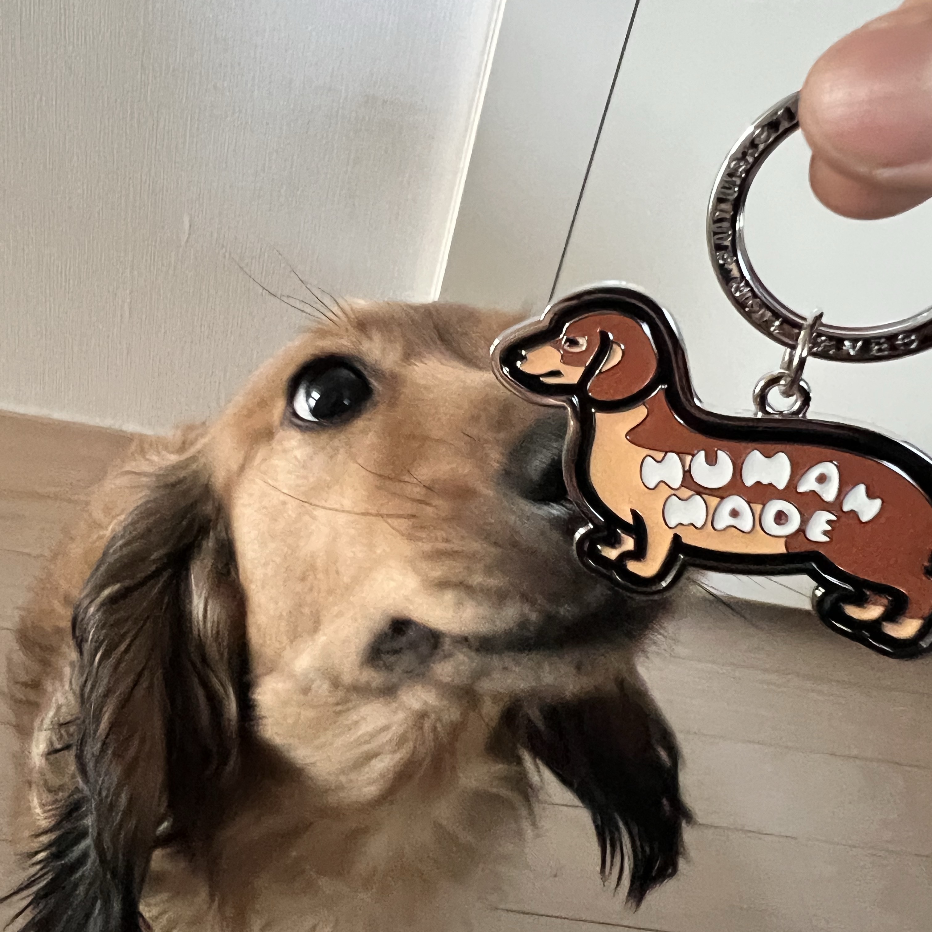 Human Made Dachs Keyring Brown 착용 스타일 - 2