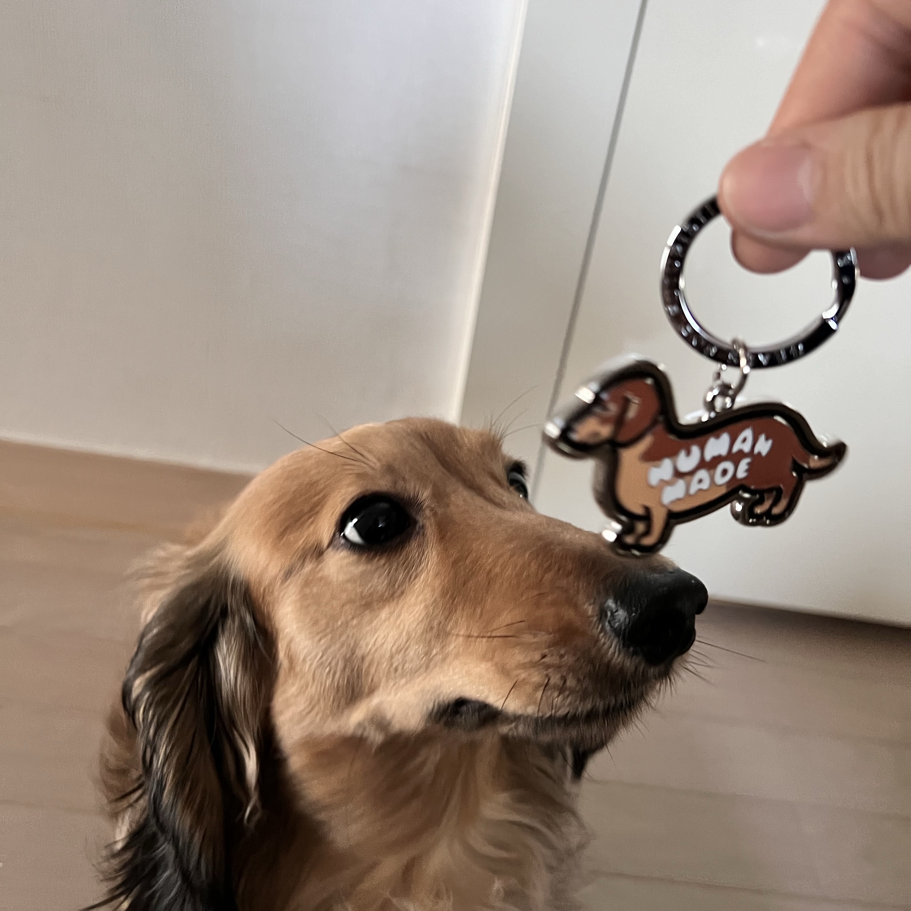 Human Made Dachs Keyring Brown 착용 스타일 - 1