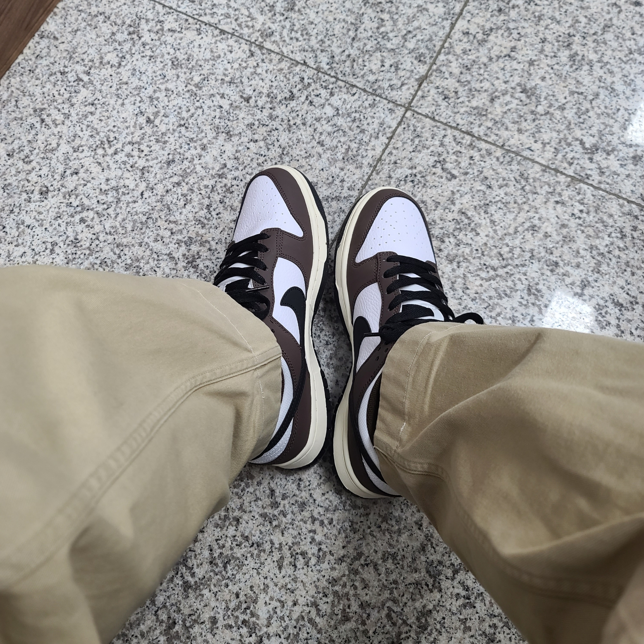 Nike Dunk Low Retro Next Nature Baroque Brown White 착용 스타일
