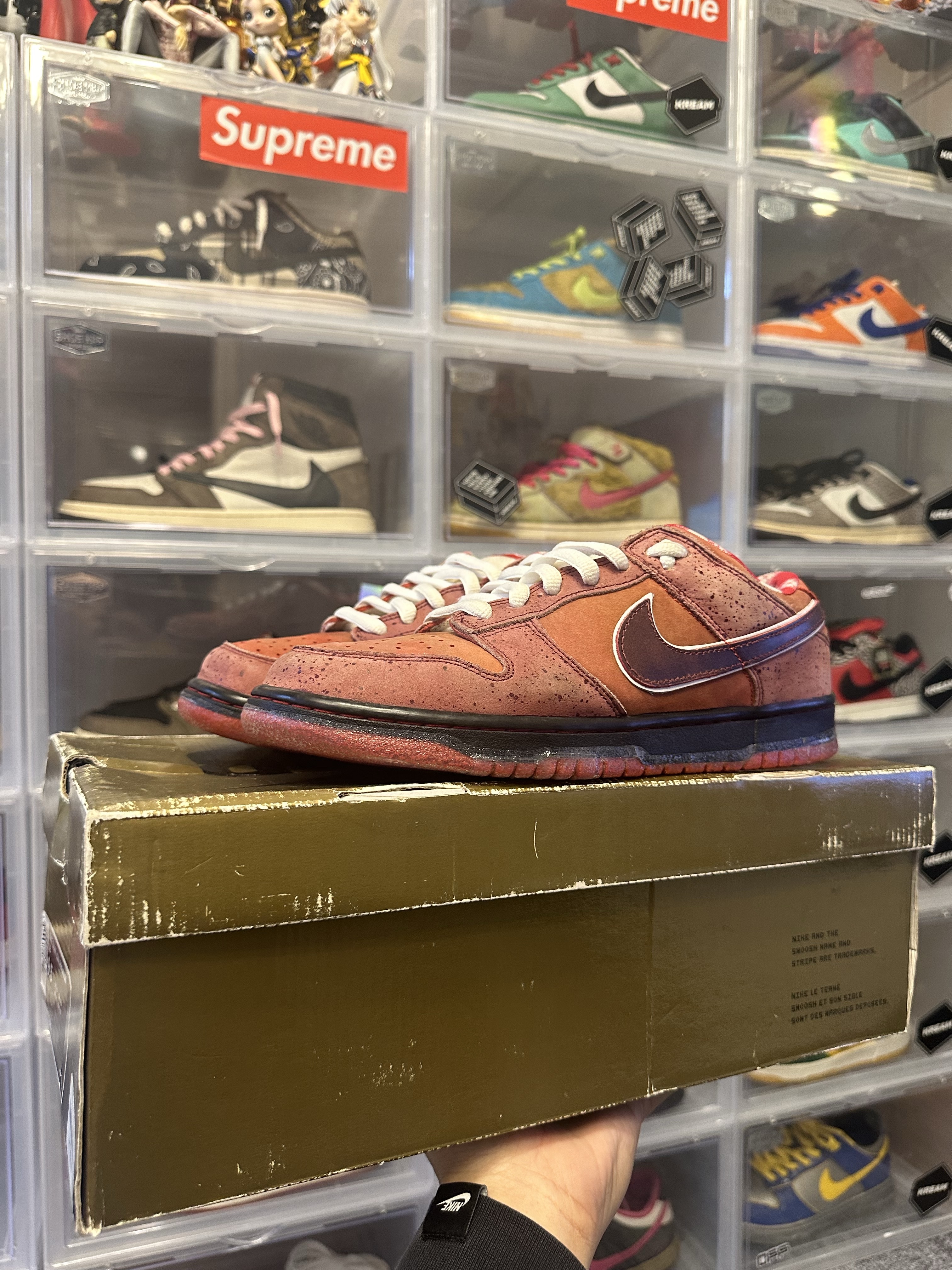 Nike x Concepts Dunk Low Premium SB Red Lobster (Regular Box) 착용 스타일