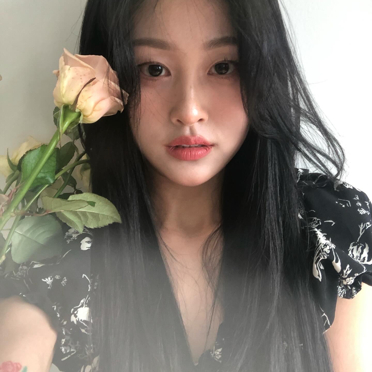 달,애님의 스타일 - 3