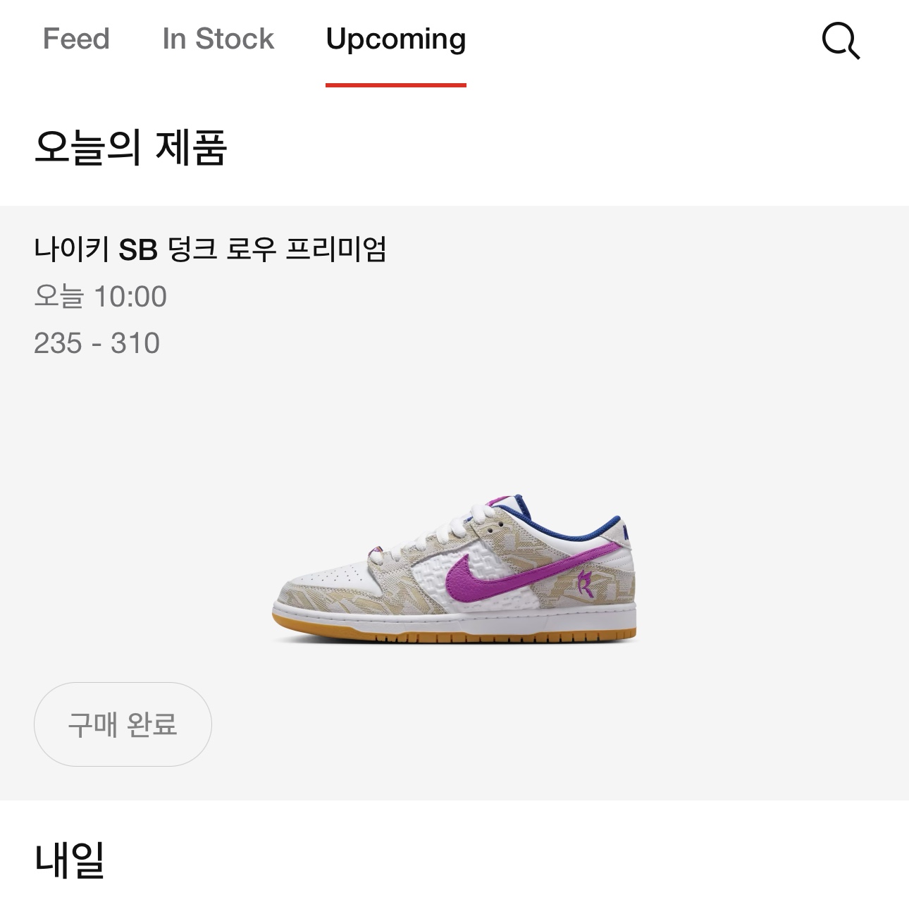 Nike x Rayssa Leal SB Dunk Low PRM Pure Platinum Vivid Purple 착용 스타일