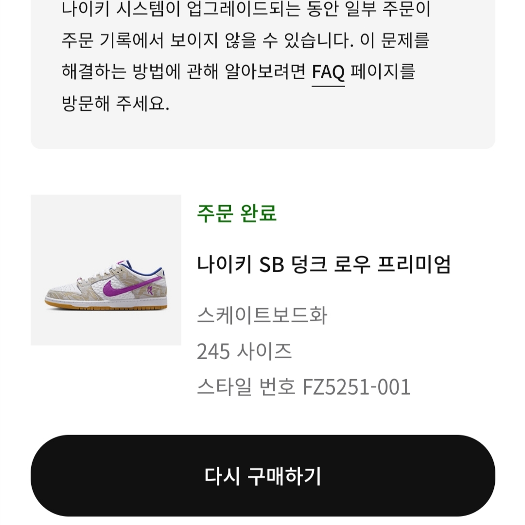 Nike x Rayssa Leal SB Dunk Low PRM Pure Platinum Vivid Purple 착용 스타일
