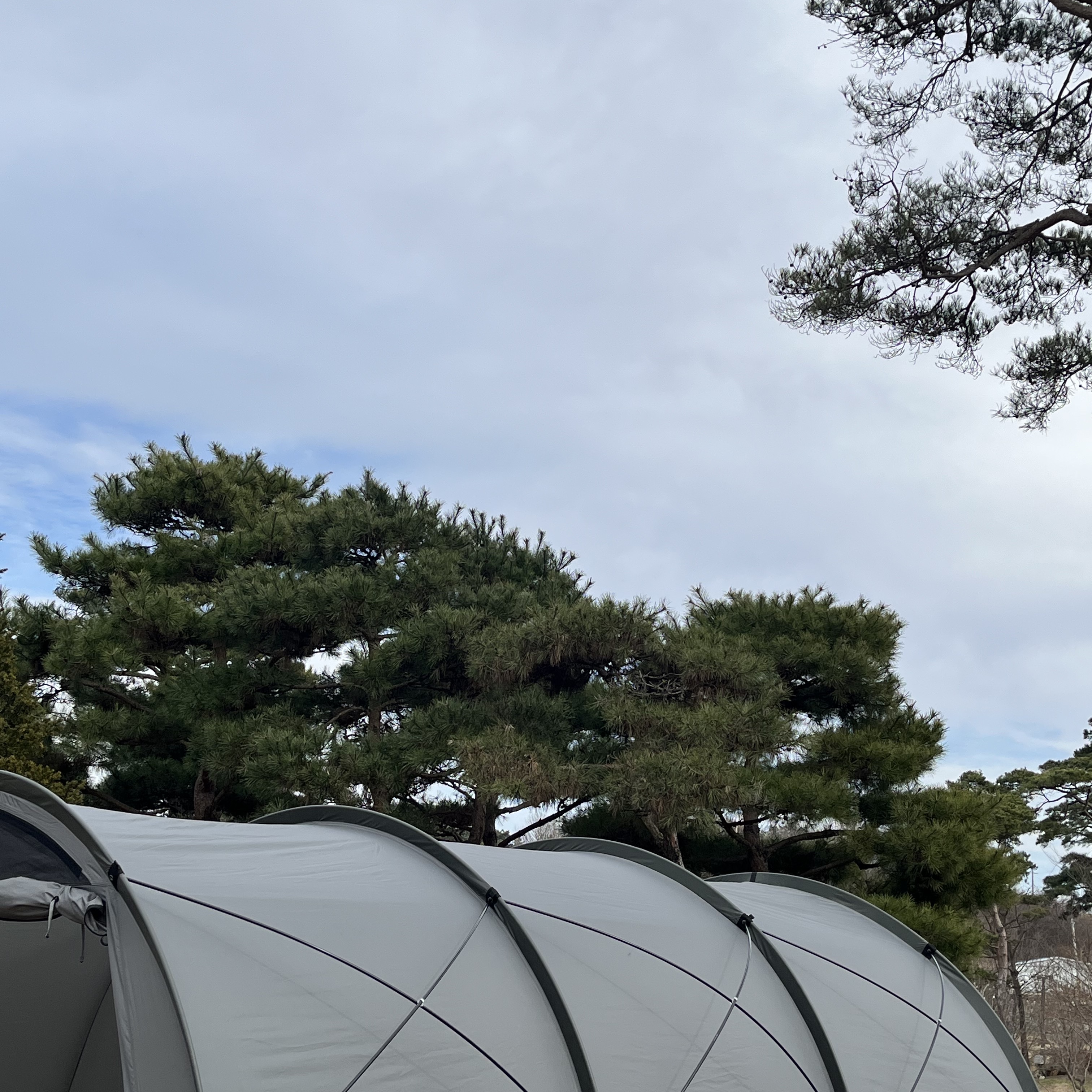 Helinox x Neighborhood Field Tunnel 4.35 Hangar Gray 착용 스타일 - 2