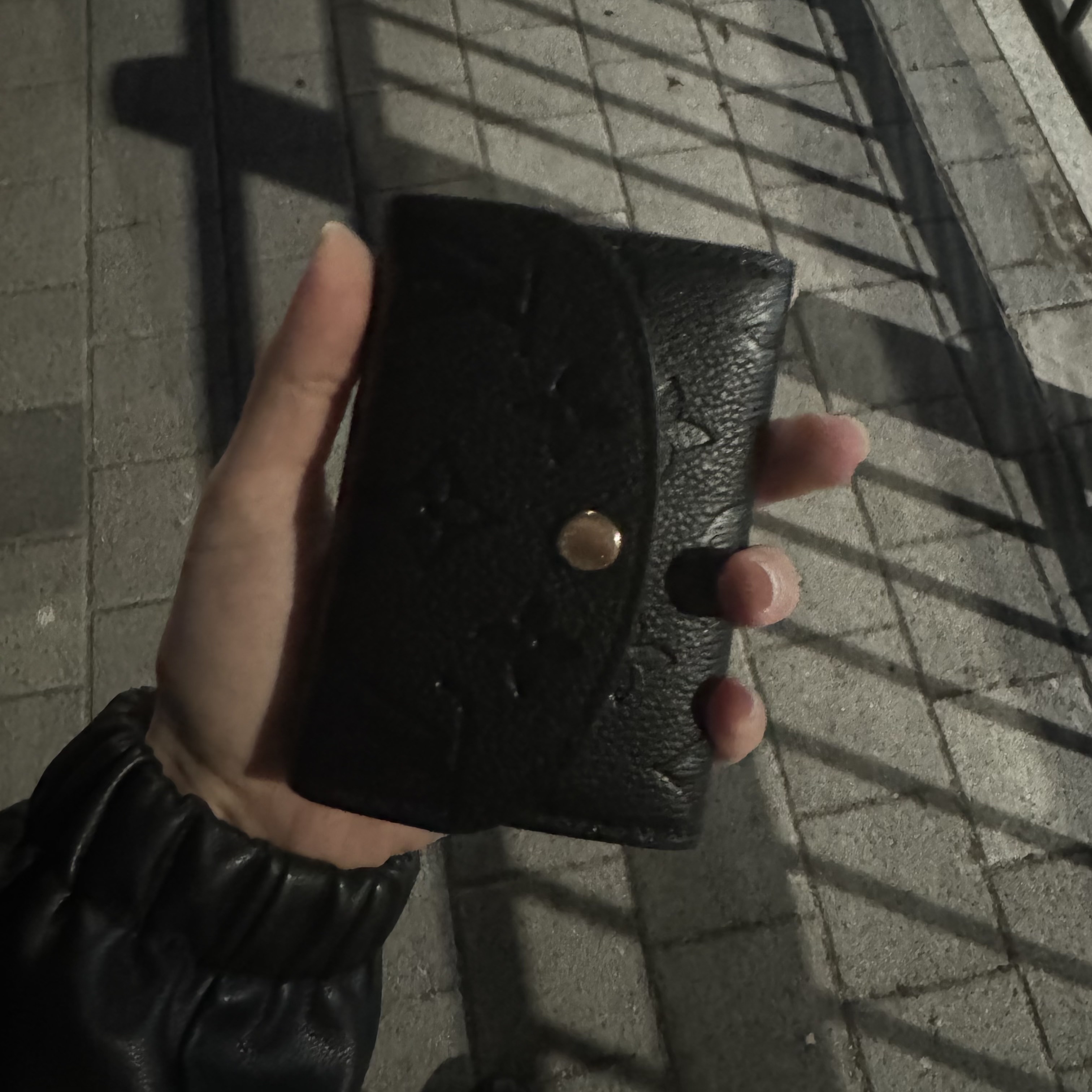 Louis Vuitton Rosalie Coin Purse Monogram Black 착용 스타일