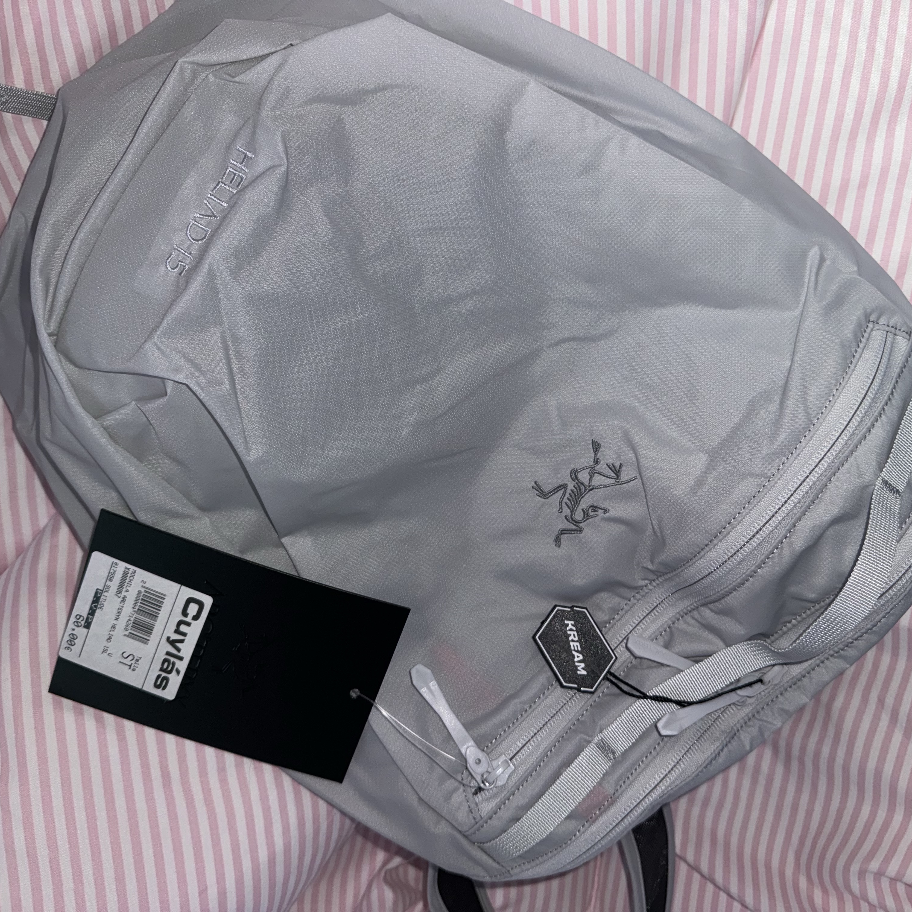Arc'teryx Heliad 15 Backpack Solitude 착용 스타일 - 3