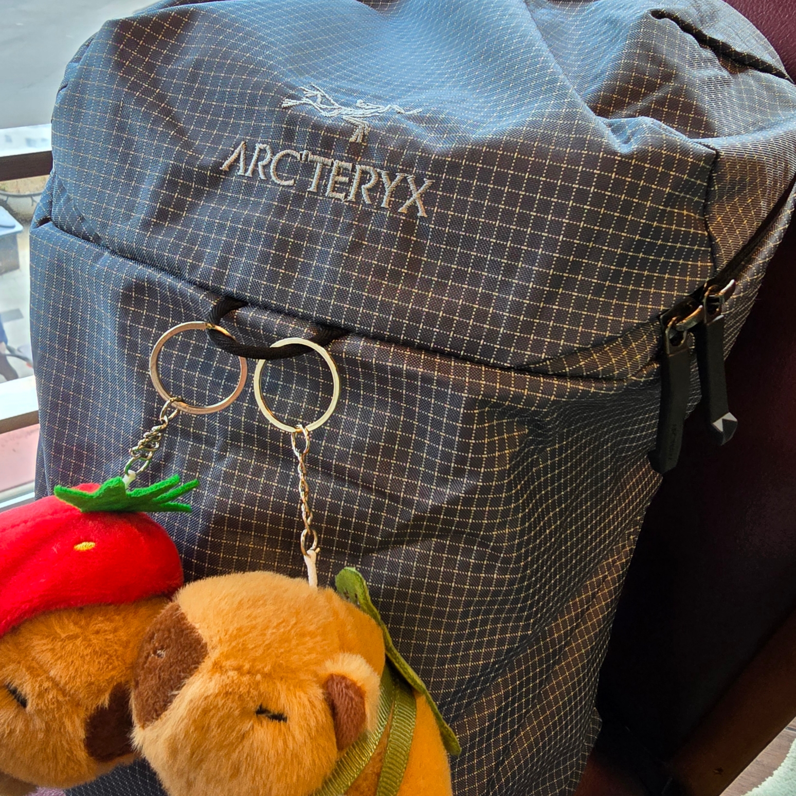 Arc'teryx Konseal 15 Backpack Neptune 착용 스타일