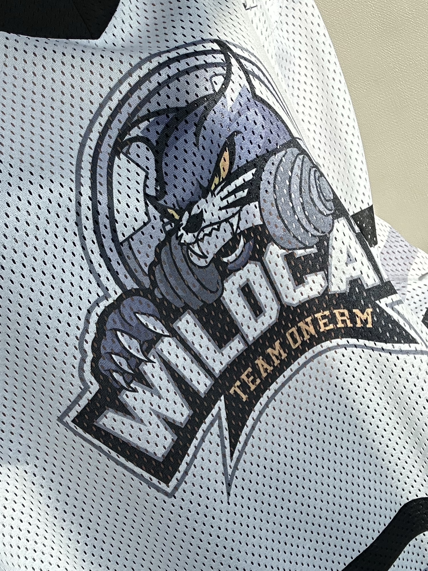 ONERM Wild Cats Ice Hockey Jersey White 착용 스타일 - 4
