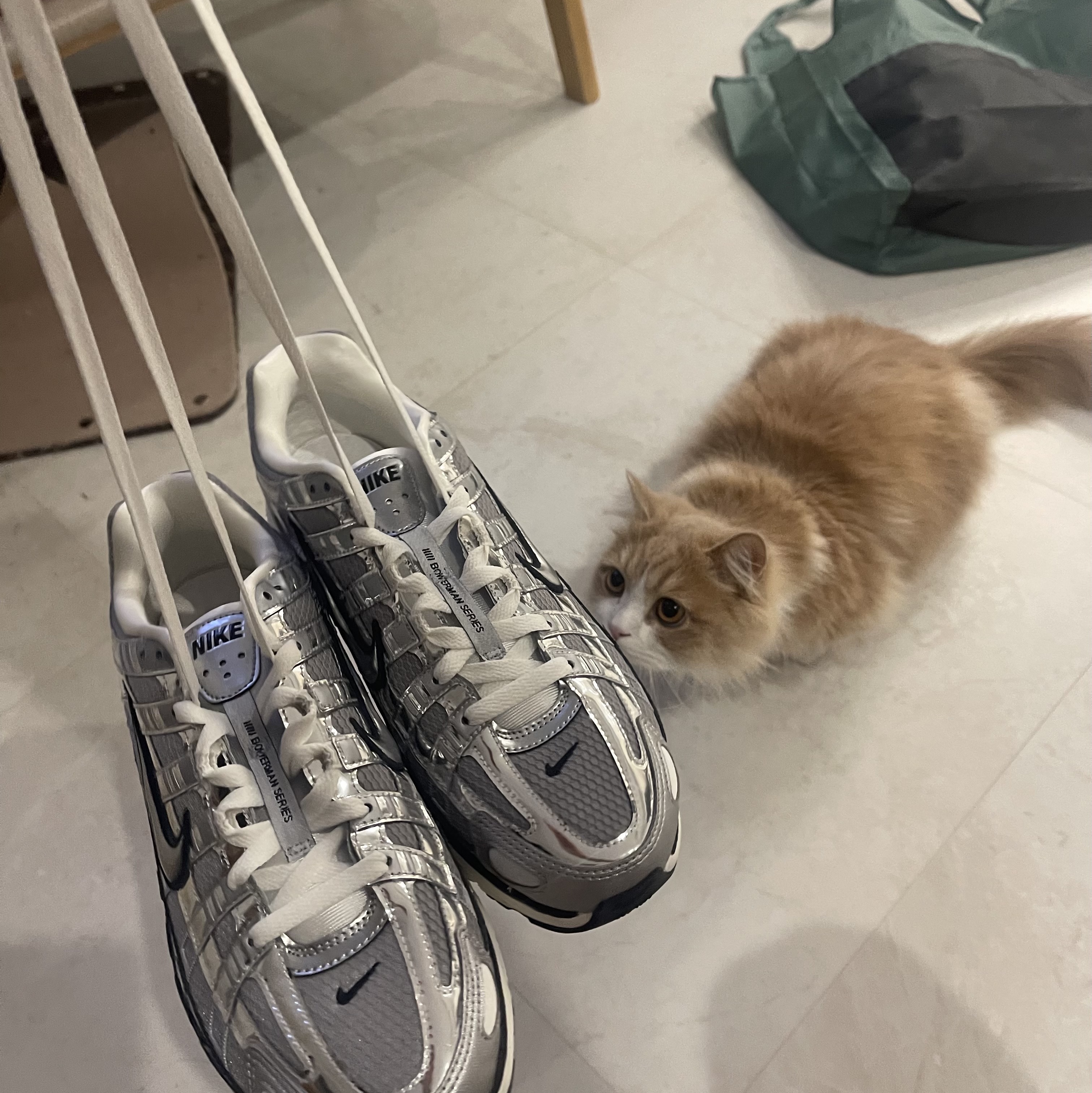 Nike P-6000 Metallic Silver 착용 스타일 - 2
