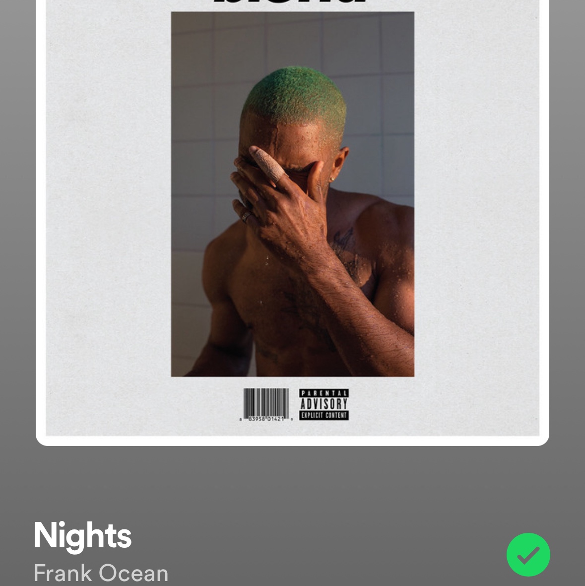 Frank Ocean Blonde Black (2LP) 착용 스타일 - 6