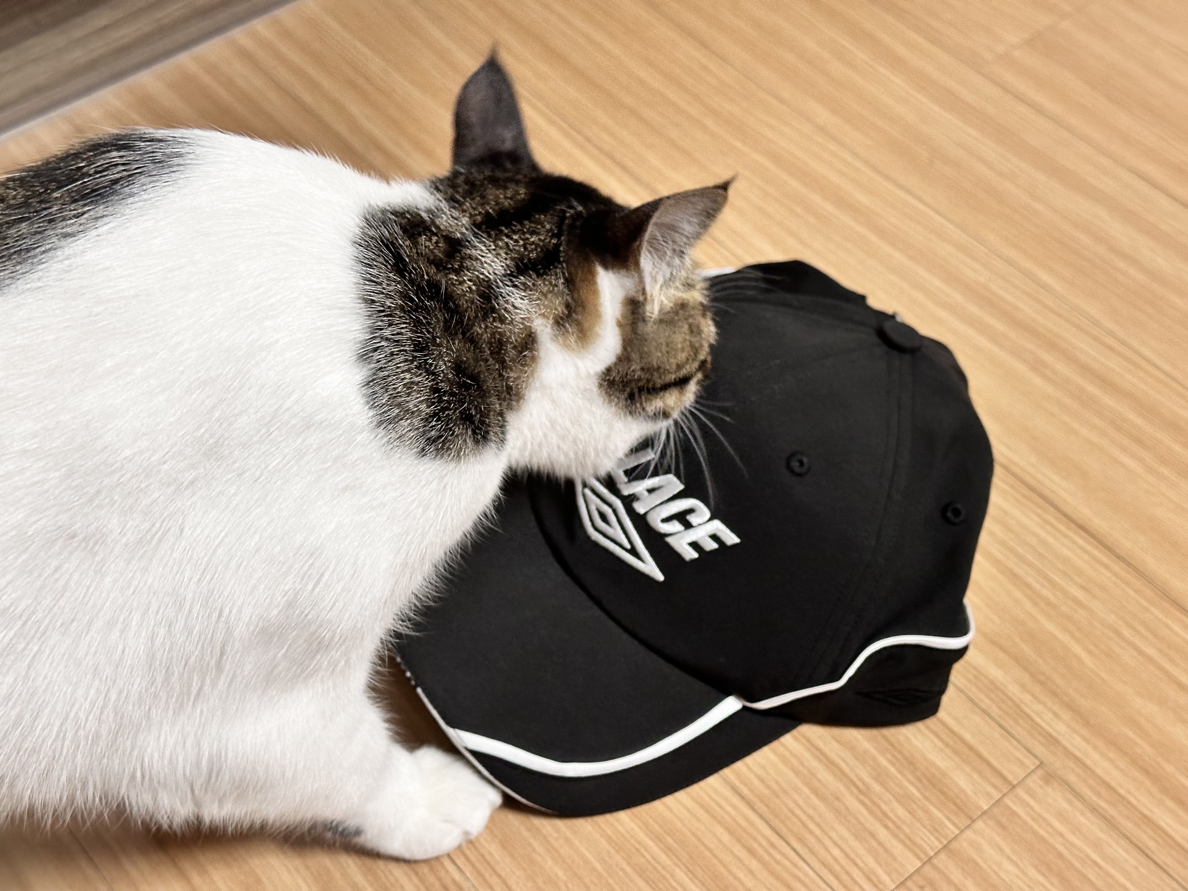 Palace x Umbro Cap Black - 24SS 착용 스타일 - 1