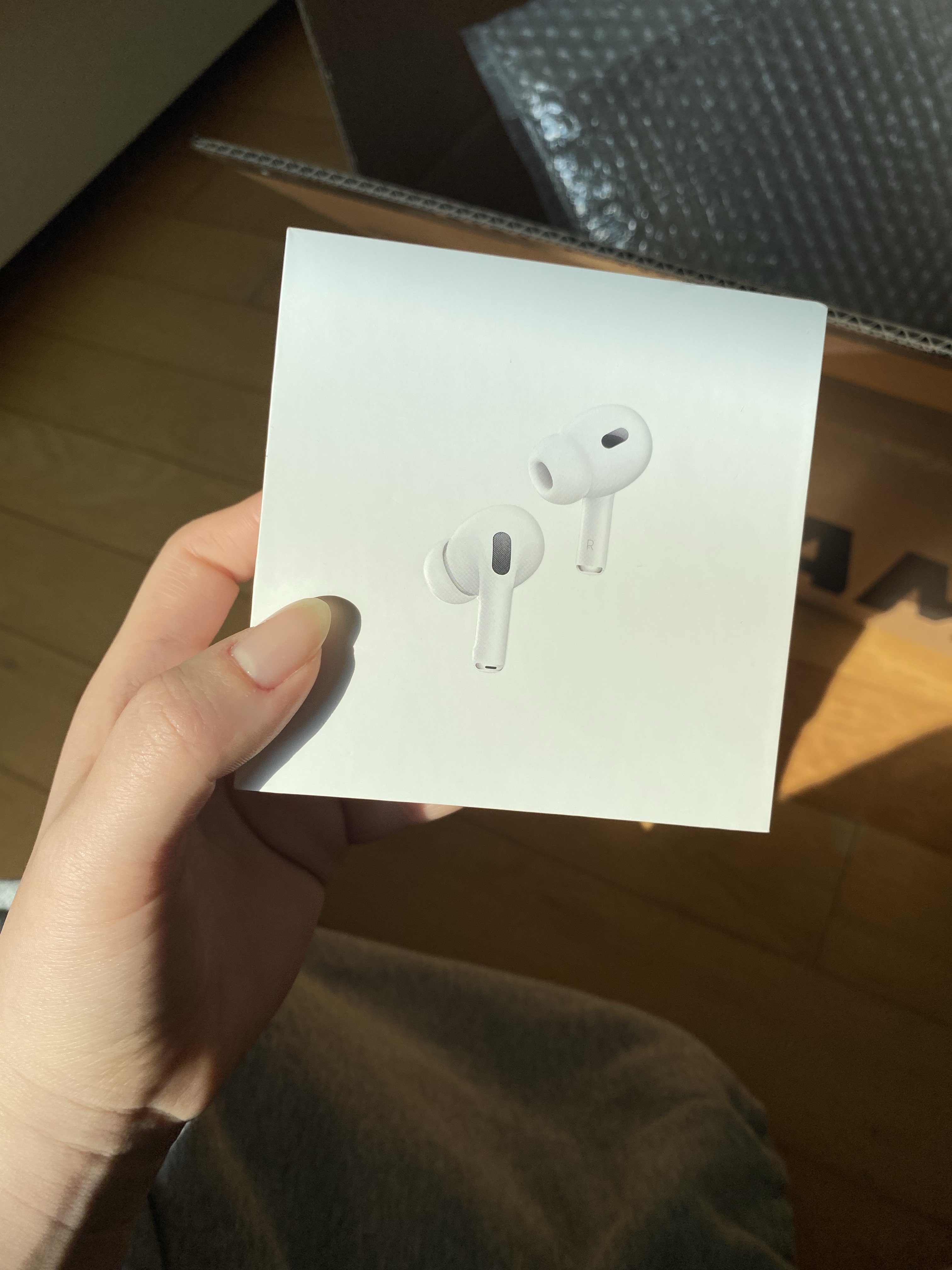 Apple Airpods Pro 2nd Gen with MagSafe Charging Case USB C (Korean Ver.) 착용 스타일