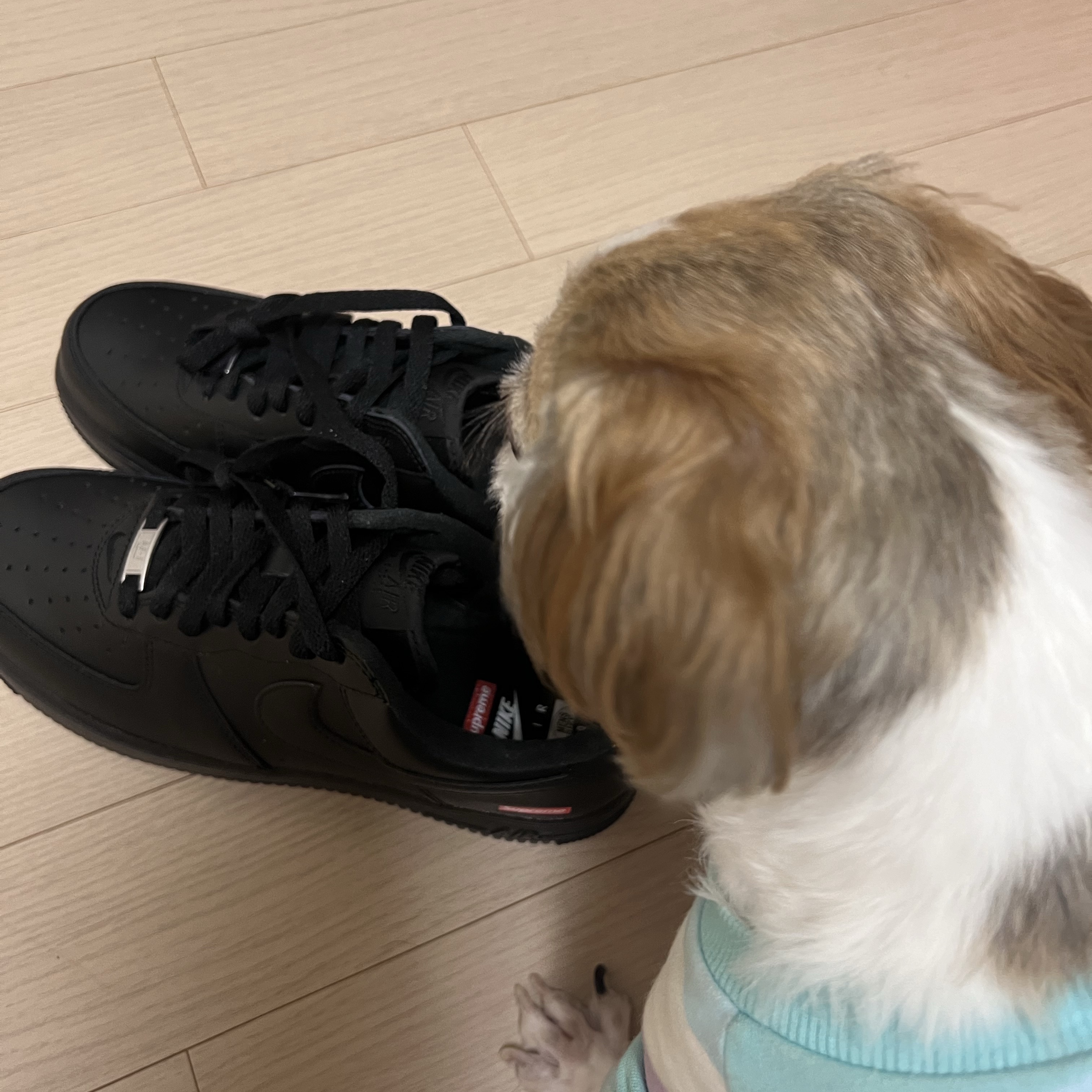 Nike x Supreme Air Force 1 Low Black 착용 스타일