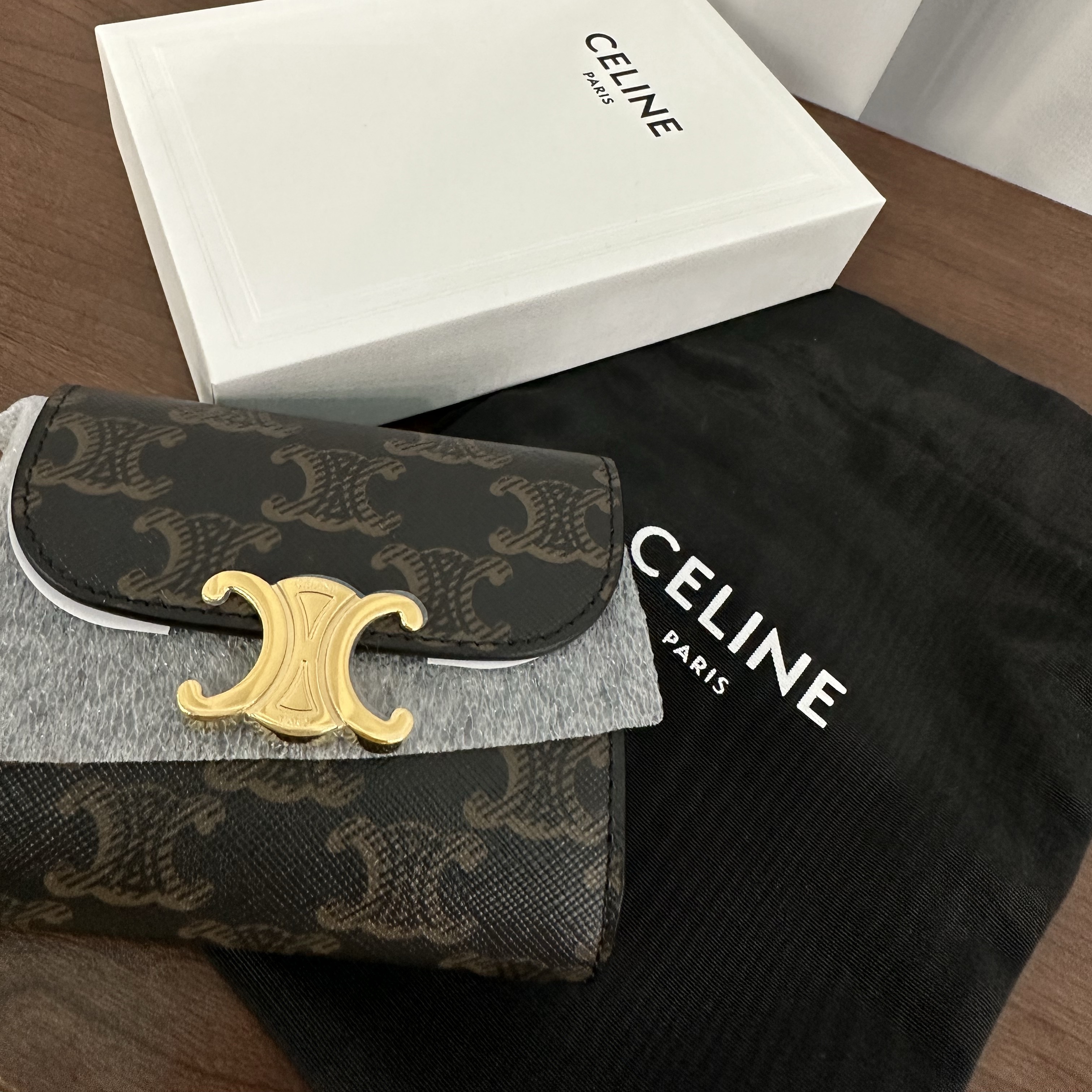 Celine Small Wallet Triomphe in Triomphe Canvas Tan 착용 스타일 - 2