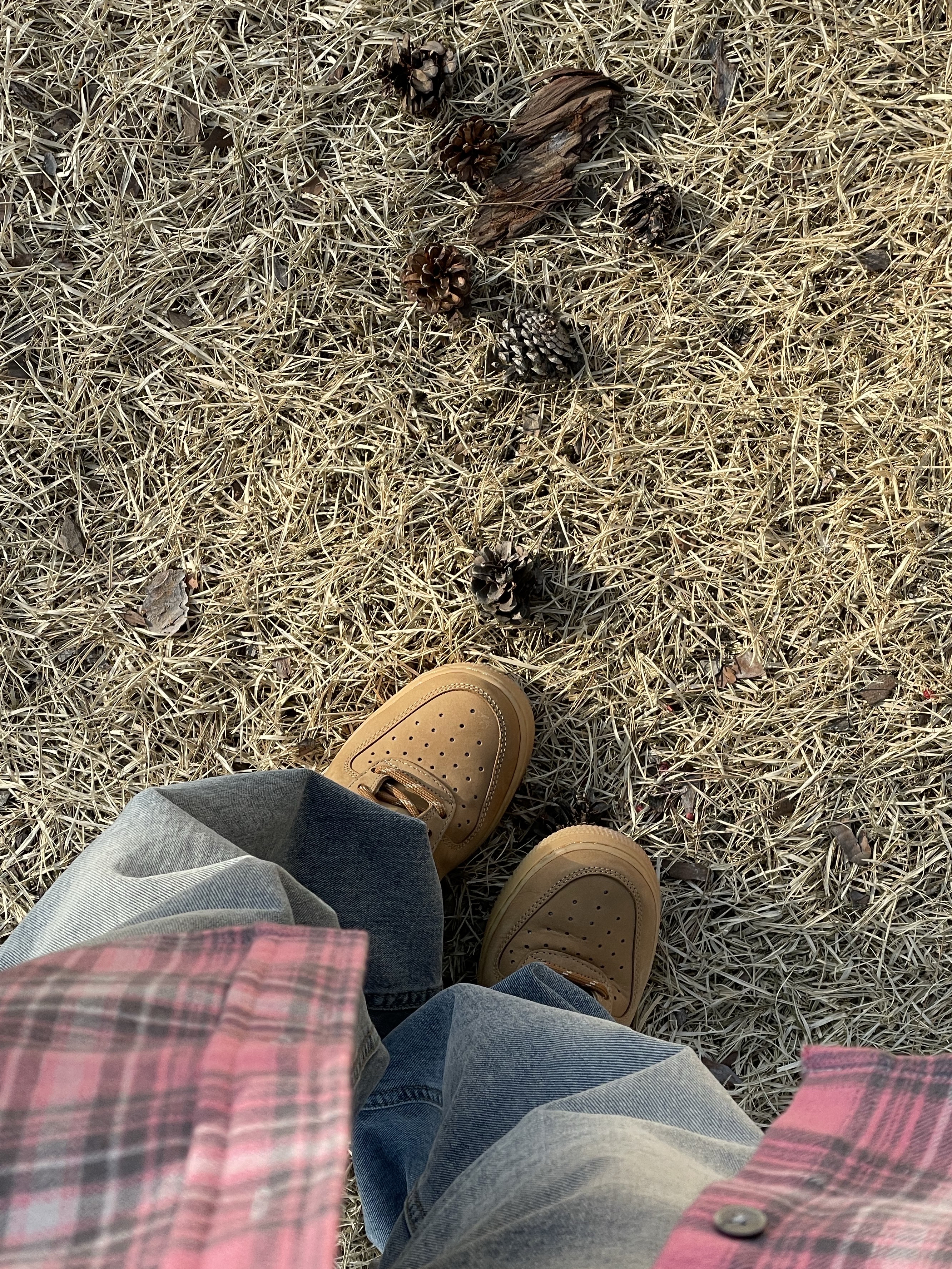 Nike Air Force 1 '07 WB Flax 착용 스타일 - 2