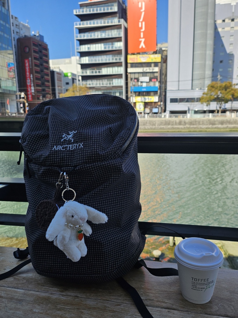Arc'teryx Konseal 15 Backpack Black, Jellycat Bashful Bunny Bag Charm Cream 착용 스타일