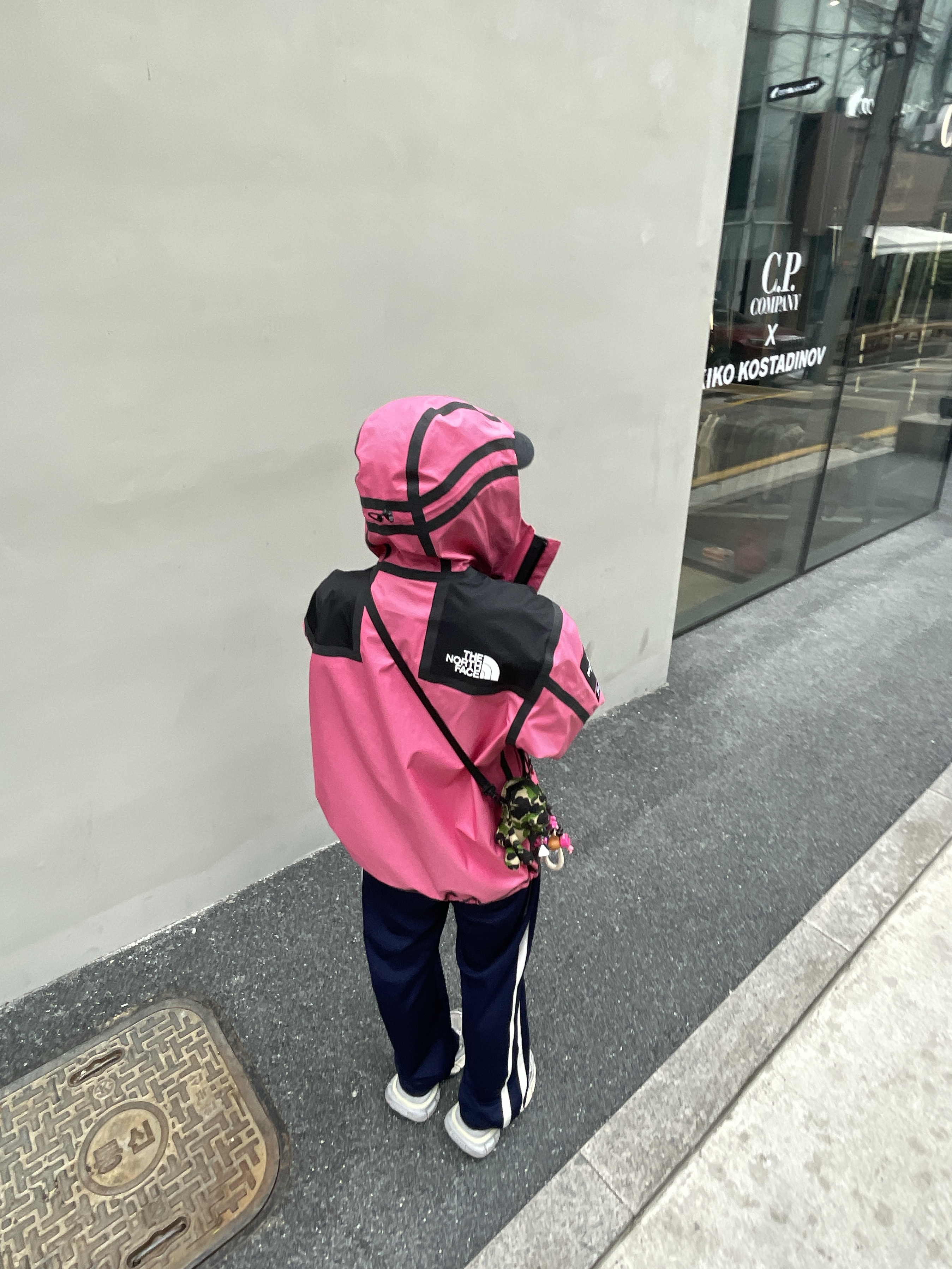 Supreme x The North Face Summit Series Outer Tape Seam Jacket Pink - 21SS, Balenciaga 3XL Sneakers Light Beige 착용 스타일 - 2