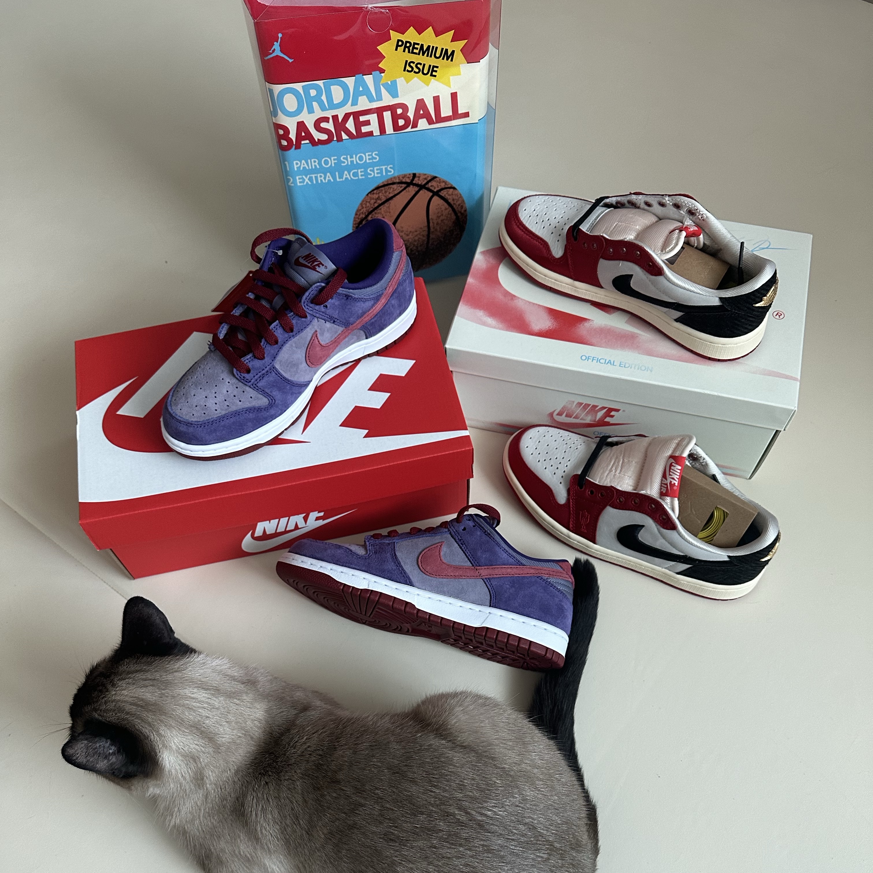 Jordan 1 x Trophy Room Retro Low OG SP Sail Varsity Red, Nike Dunk Low SP Plum 2024 착용 스타일 - 2