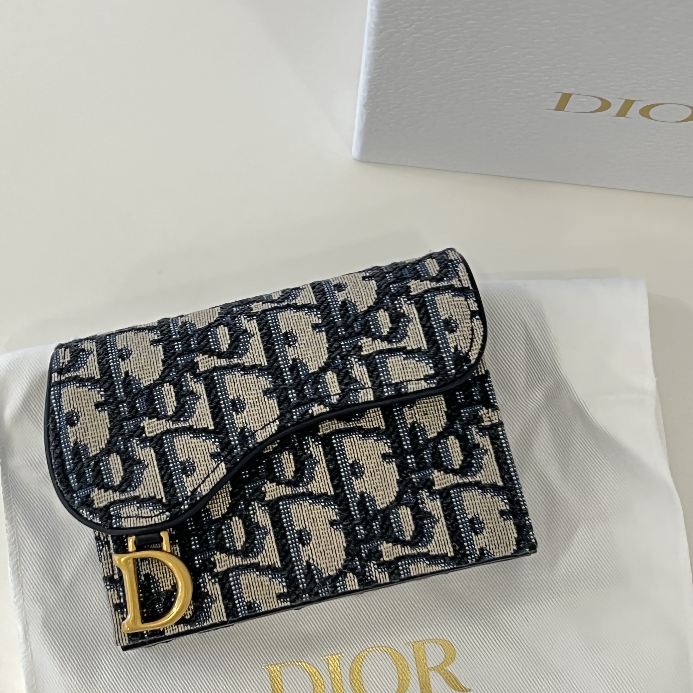 Dior Saddle 5-Gusset Card Holder Blue Dior Oblique Jacquard 착용 스타일
