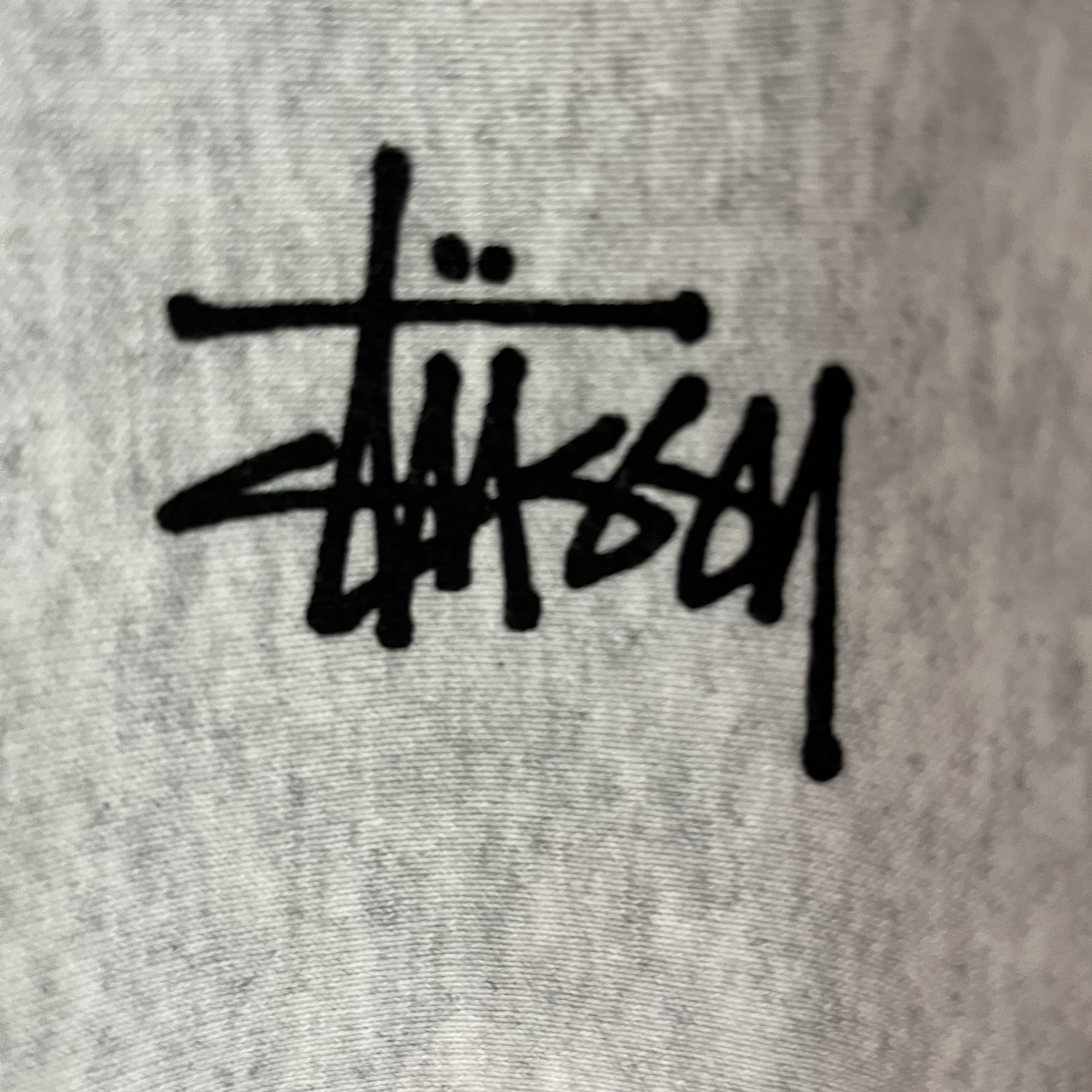 Stussy Basic Stussy Zip Hoodie Ash Heather 착용 스타일