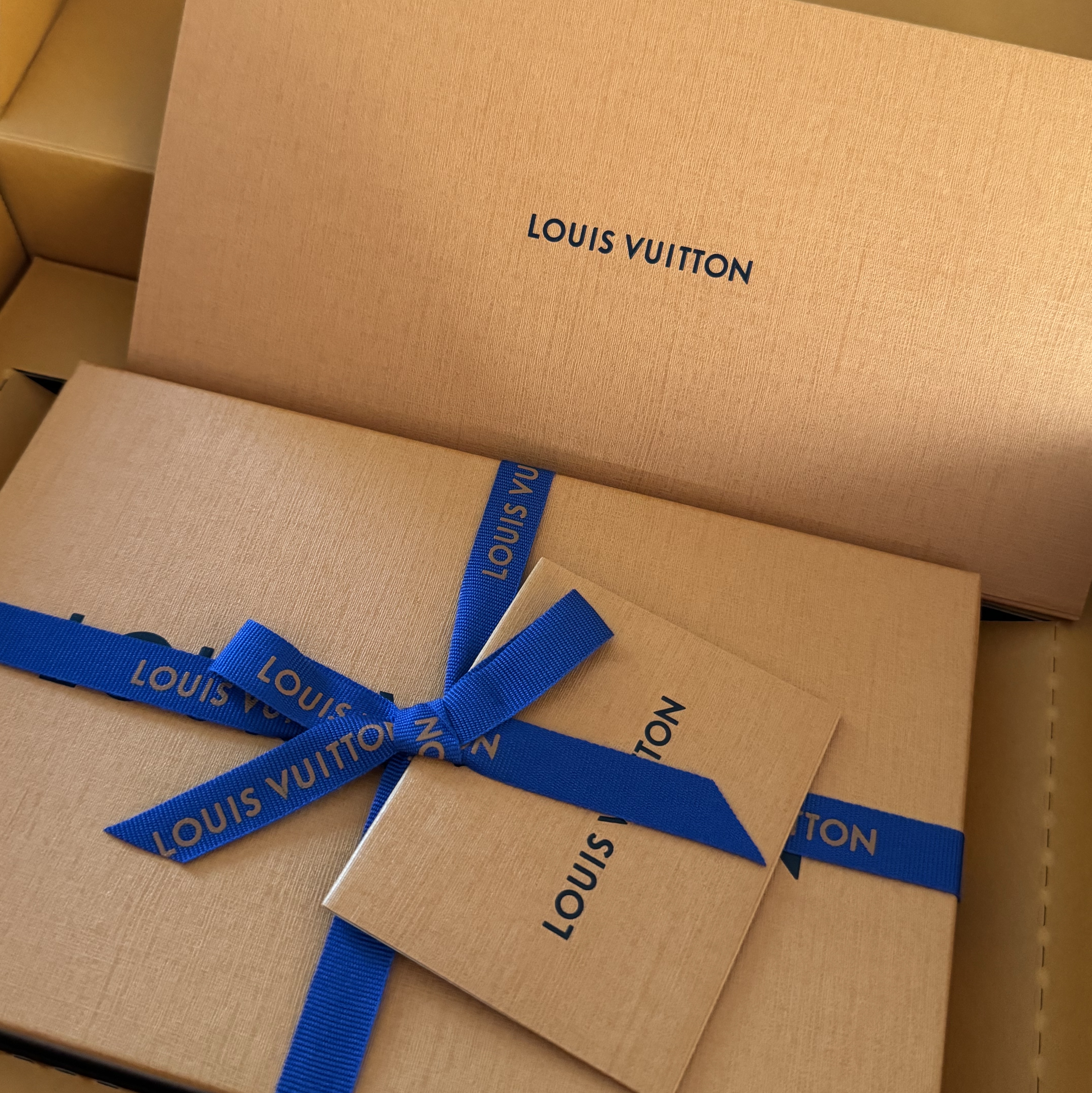 Louis Vuitton Passport Cover Monogram 착용 스타일