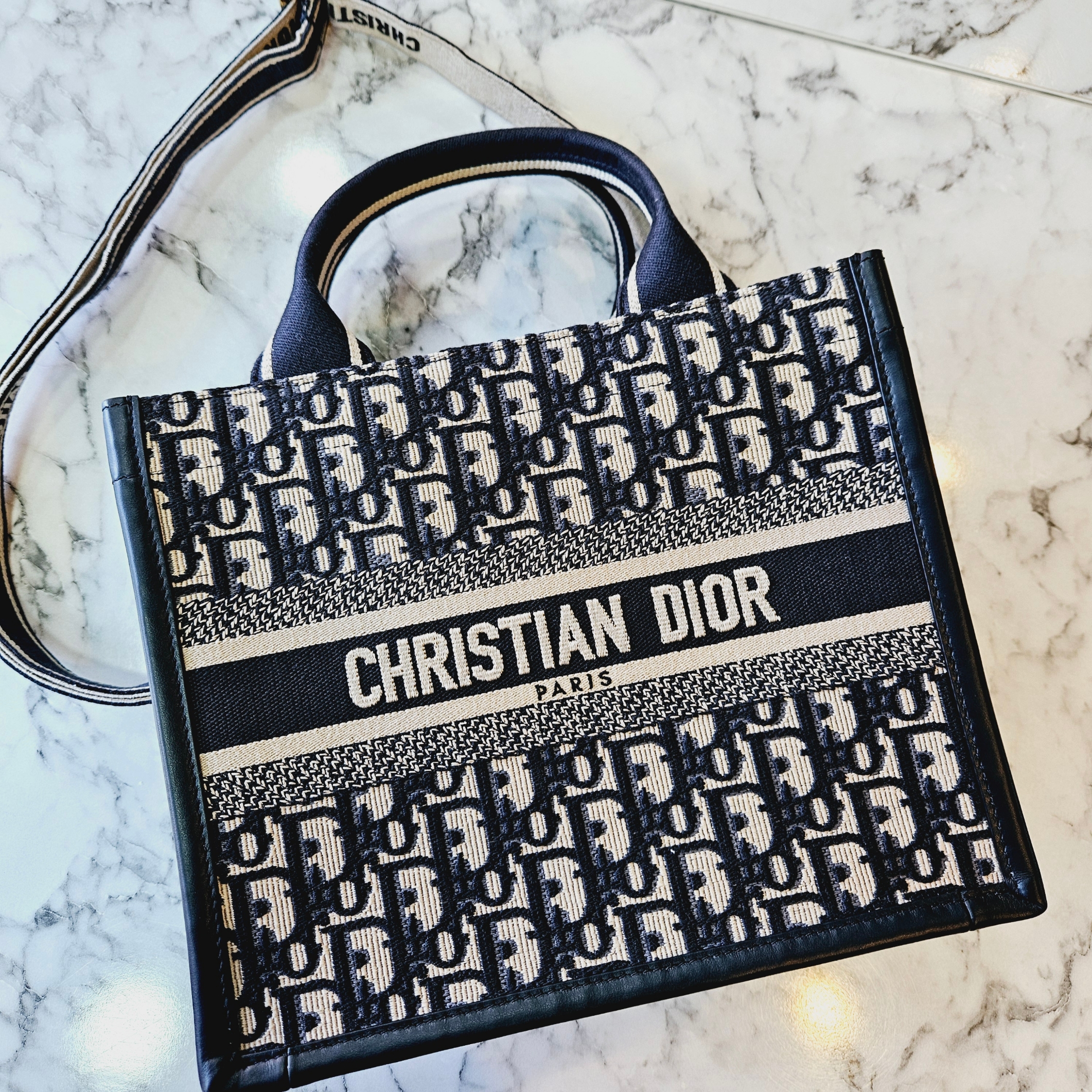 Dior Small Book Tote Blue Dior Oblique Embroidery Calf Skin 착용 스타일