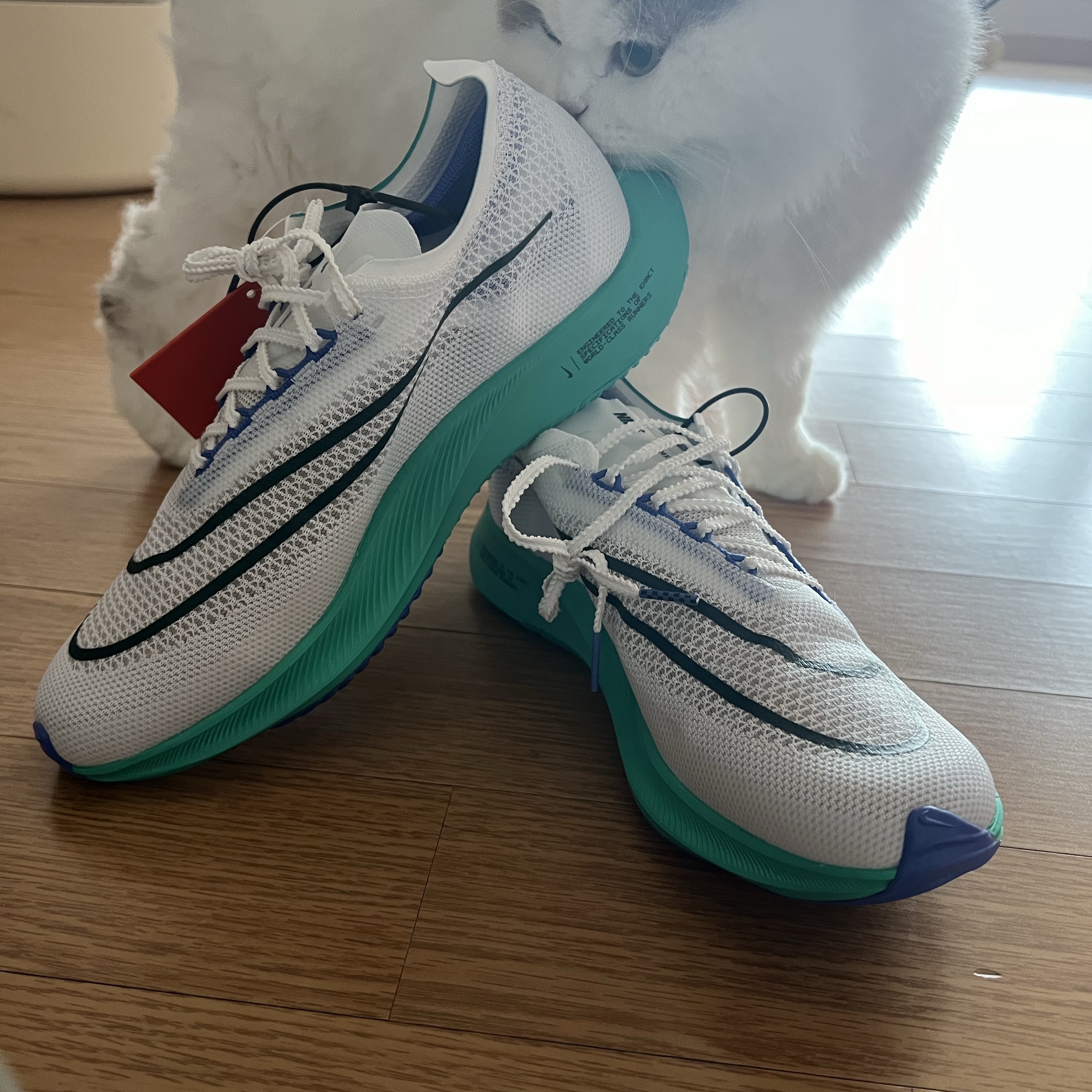 Nike ZoomX Streakfly White Clear Jade 착용 스타일