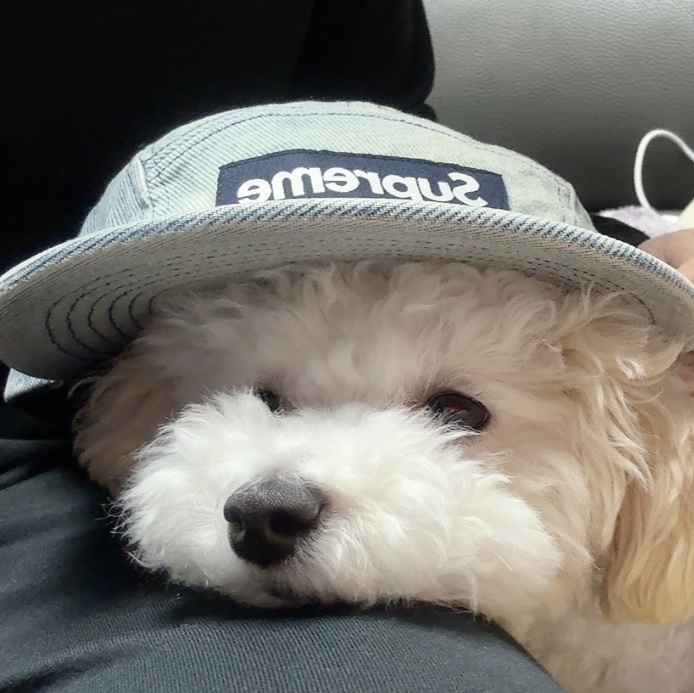 Supreme Washed Chino Twill Camp Cap Dirty Indigo - 24SS 착용 스타일