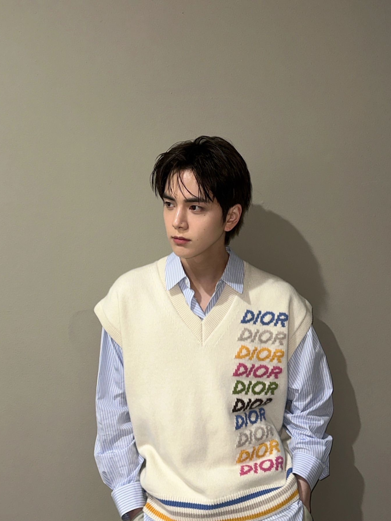 Dior Wool and Cashmere Intarsia Sleeveless Sweater Beige 착용 스타일 - 1