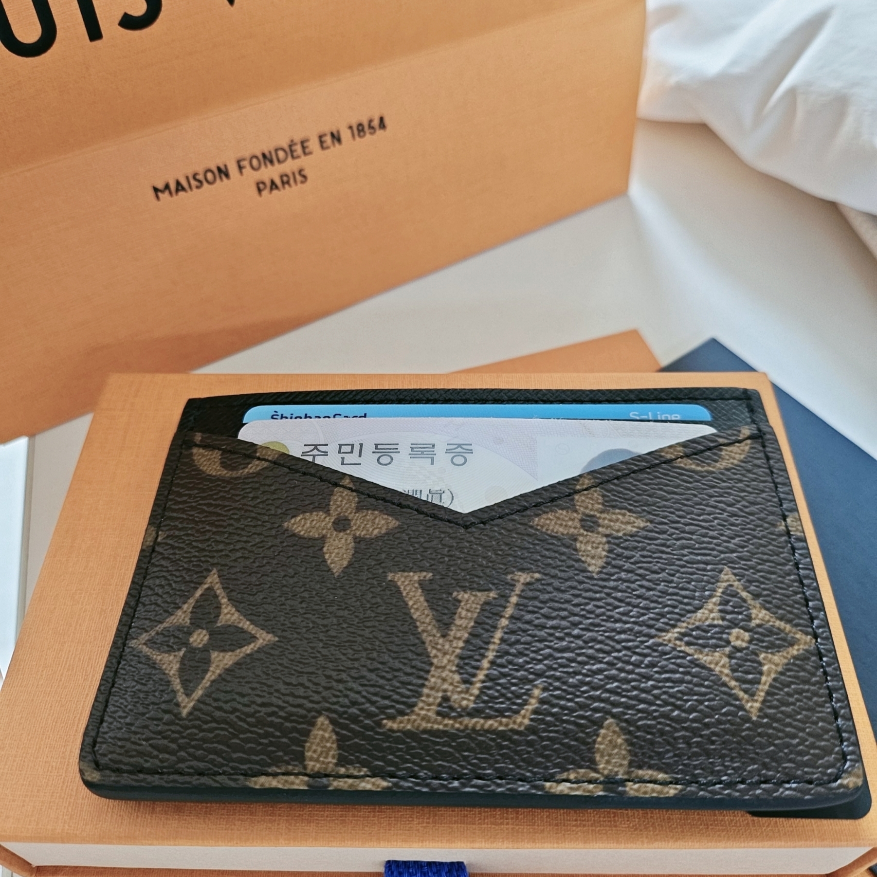 Louis Vuitton Neo Card Holder Monogram Macassar 착용 스타일 - 1