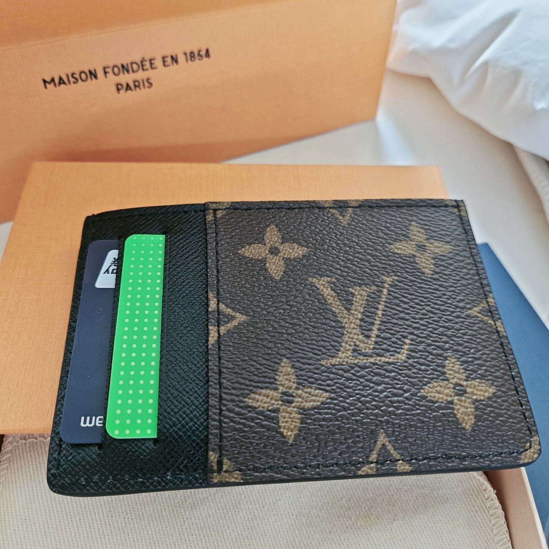 Louis Vuitton Neo Card Holder Monogram Macassar 착용 스타일 - 4