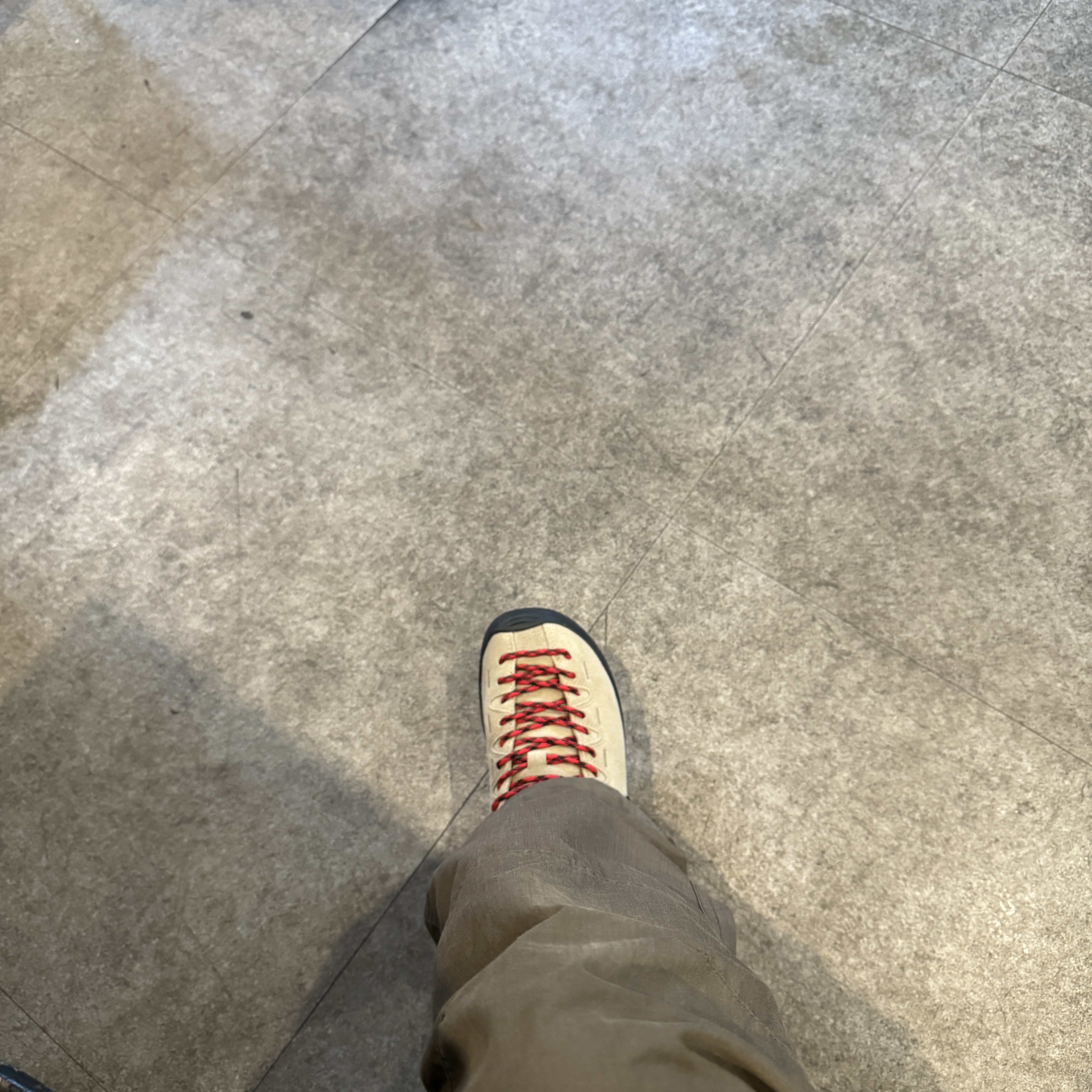 (W) Keen Jasper Suede Sneakers Silver Mink 착용 스타일