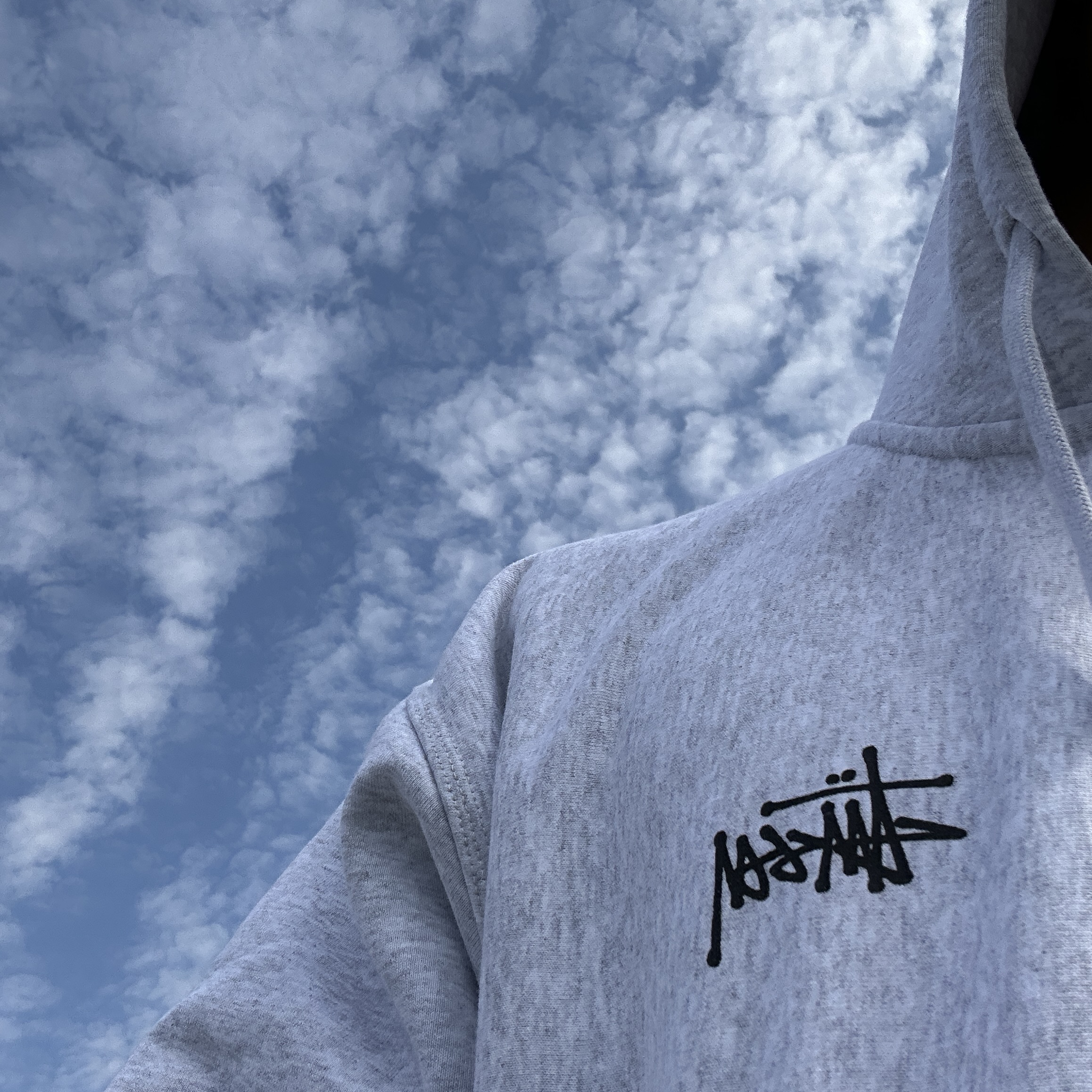 Stussy Basic Stussy Zip Hoodie Ash Heather 2023 착용 스타일 - 4