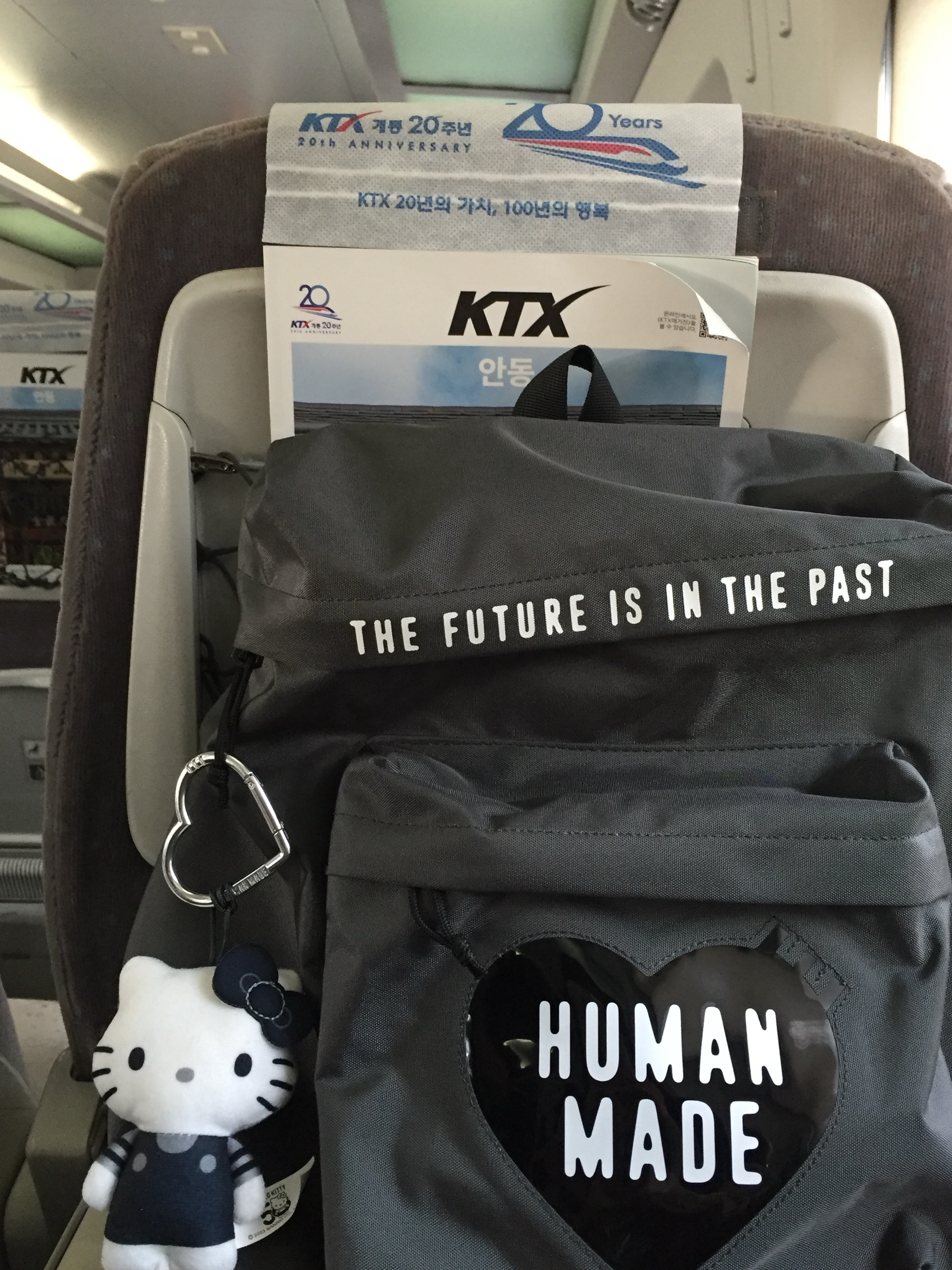 Human Made Backpack Gray 착용 스타일